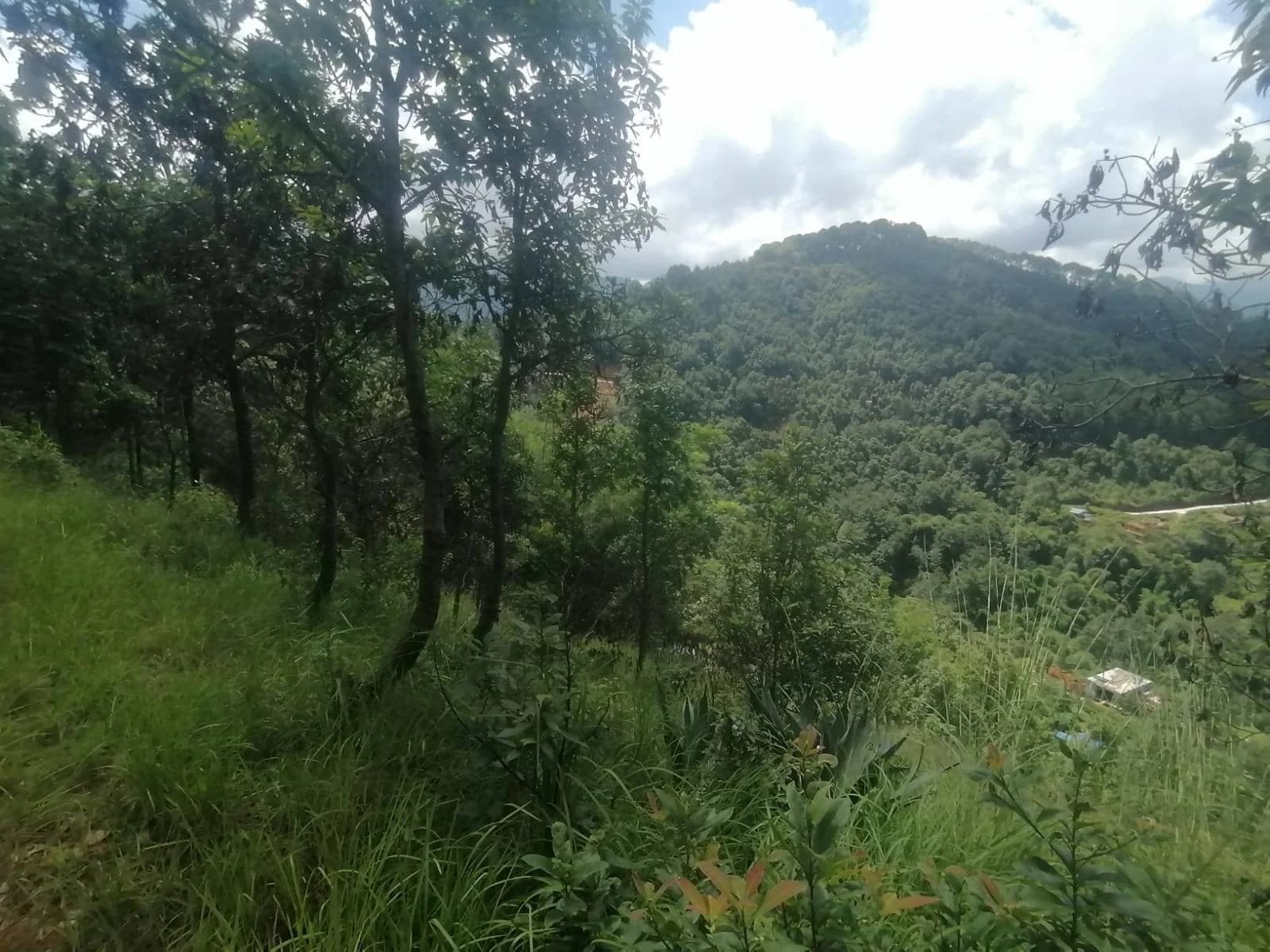 Land For Sale At Godamchaur | Godawari 4