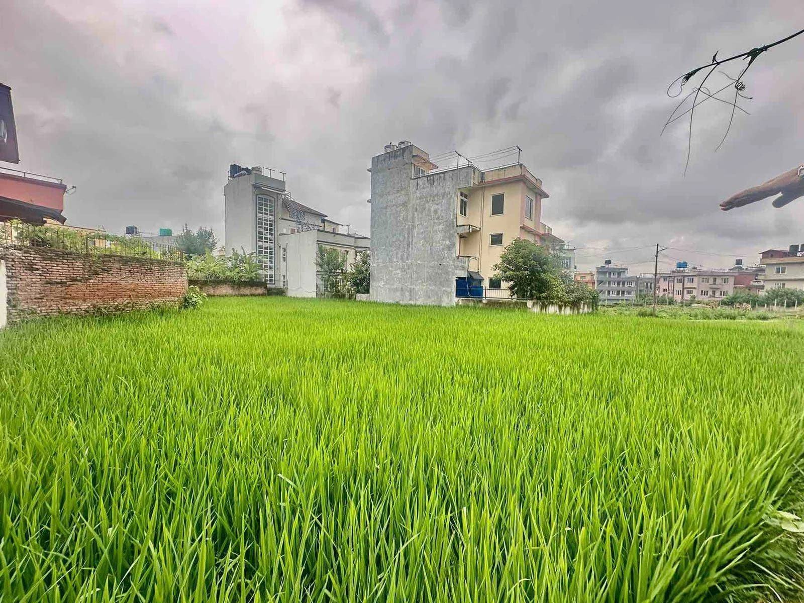 Land For Sale At Budhanilkantha | Pasikot 2