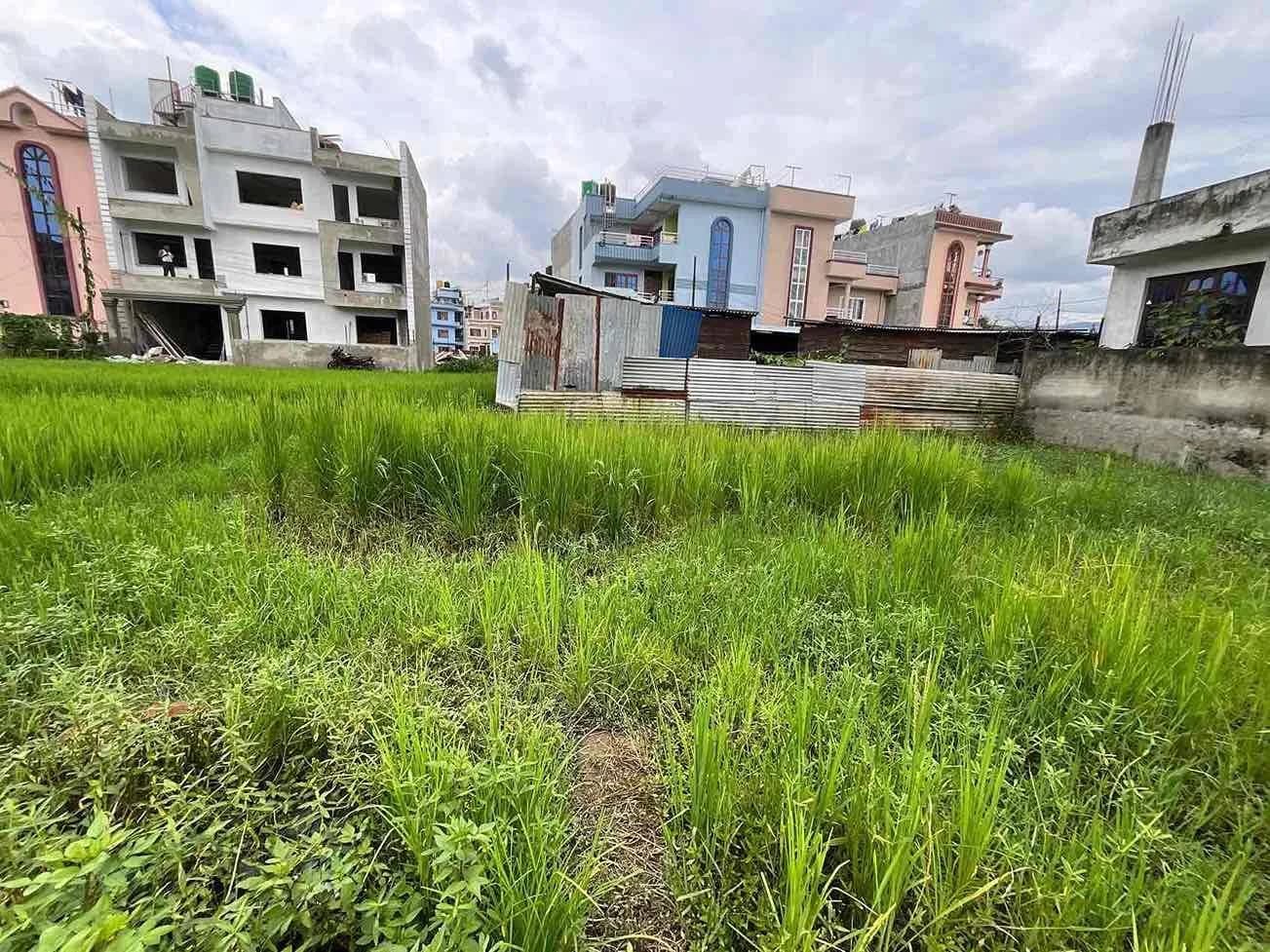 Land For Sale At Gothatar 3