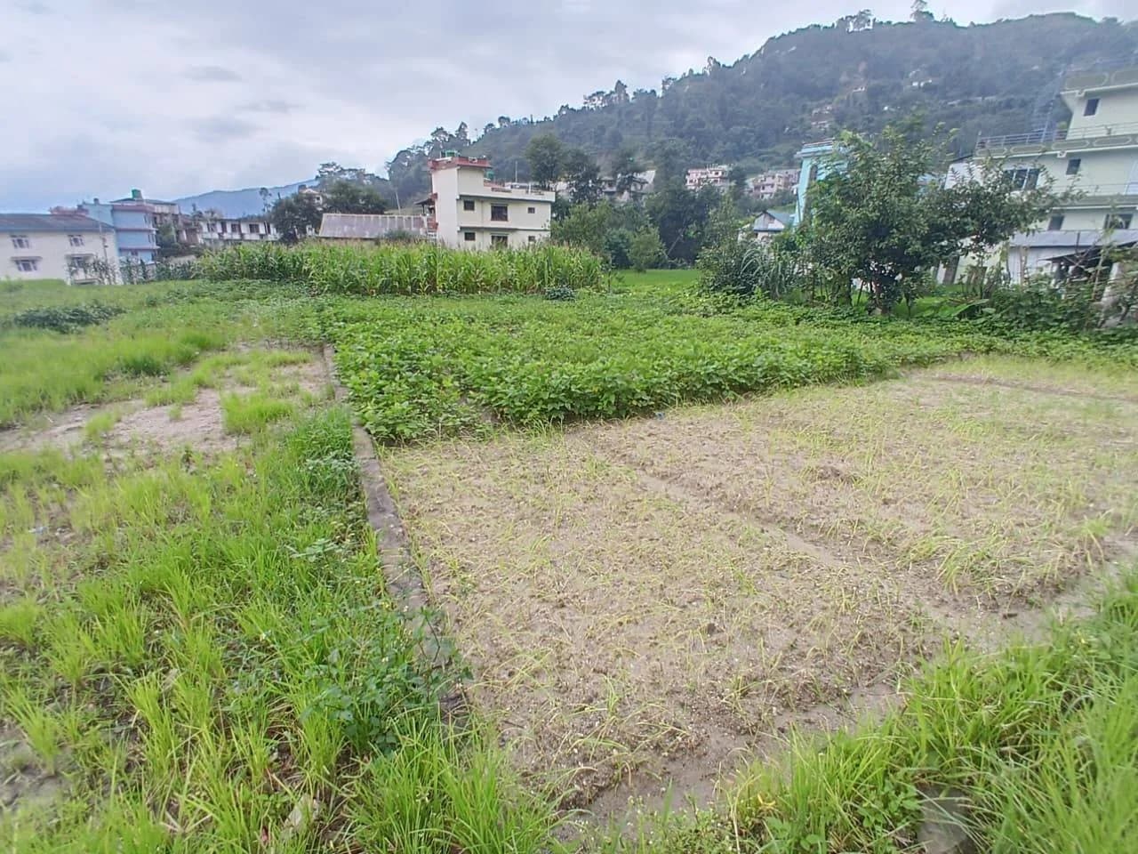 Land For Sale At Tarkeshwor | Sangla 1