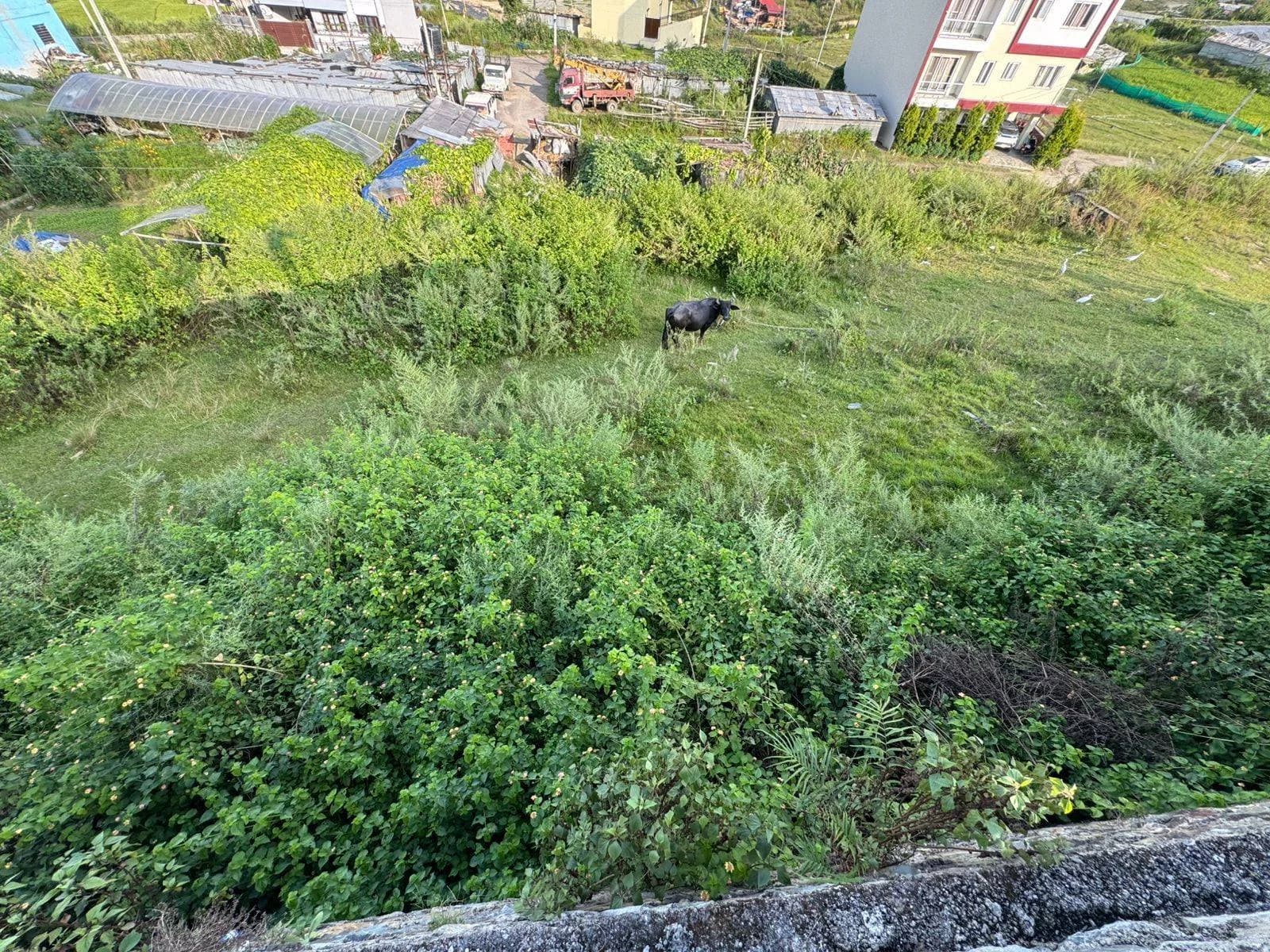 Land For Sale At Chunikhel 1