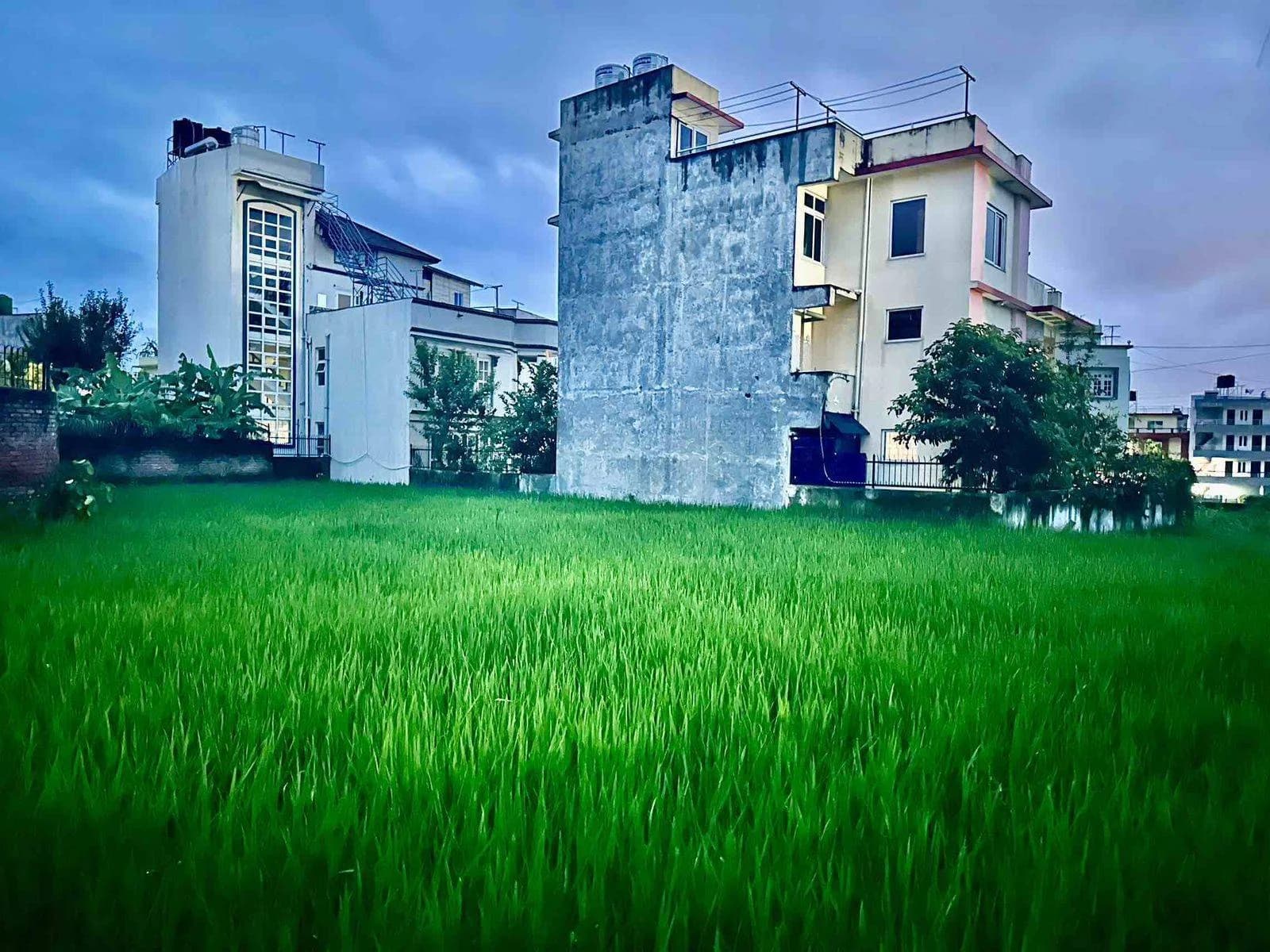 Land For Sale At Budhanilkantha | Pasikot 1