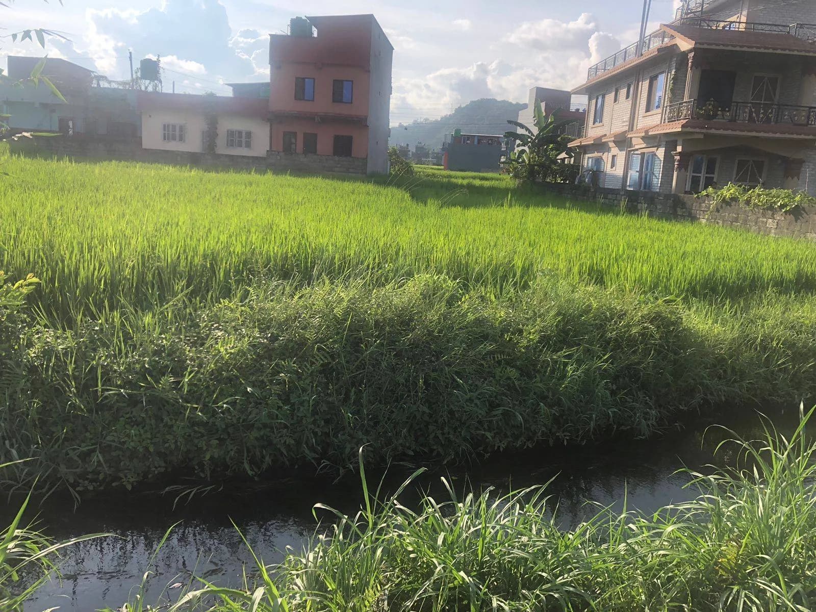 Land For Sale At Sisuwa 1