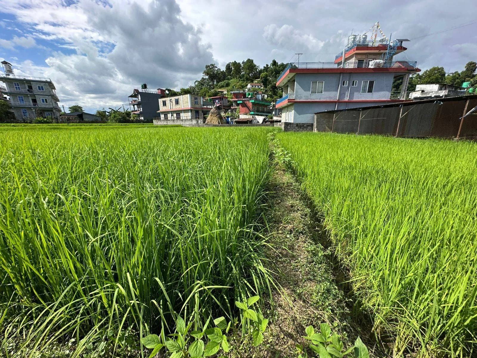Land For Sale At Pokhara 27 | Aadarsha Chowk 4