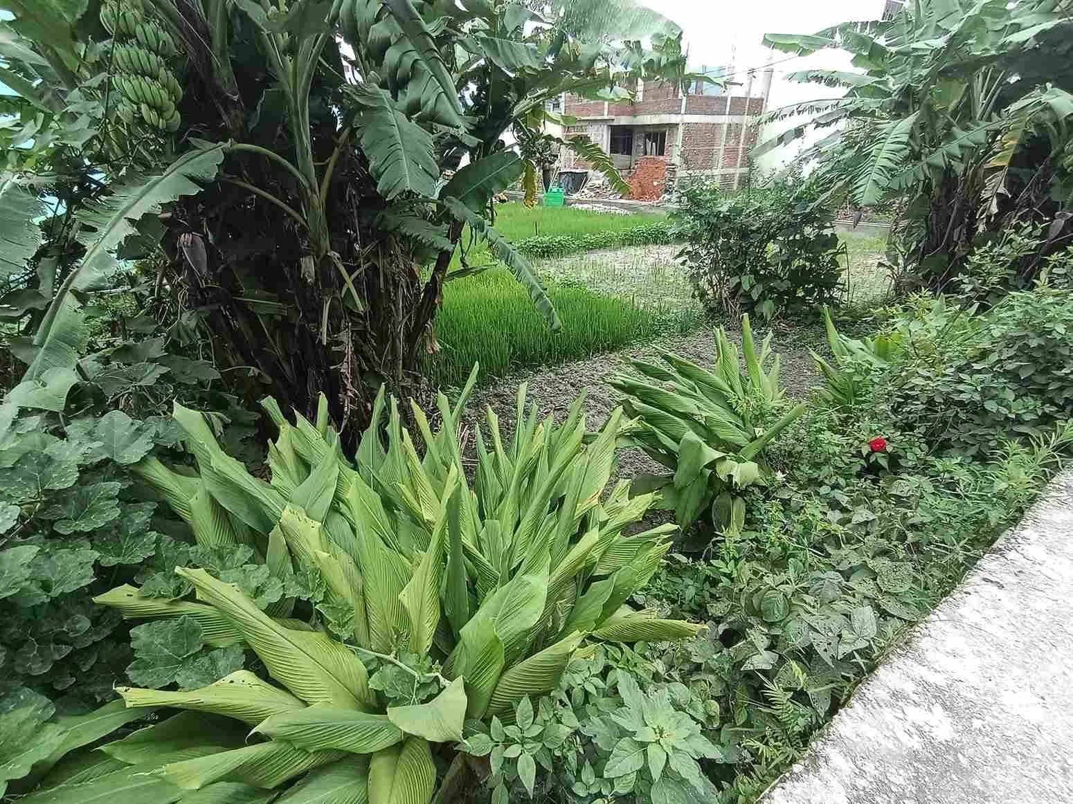 Land For Sale At Duwakot 3