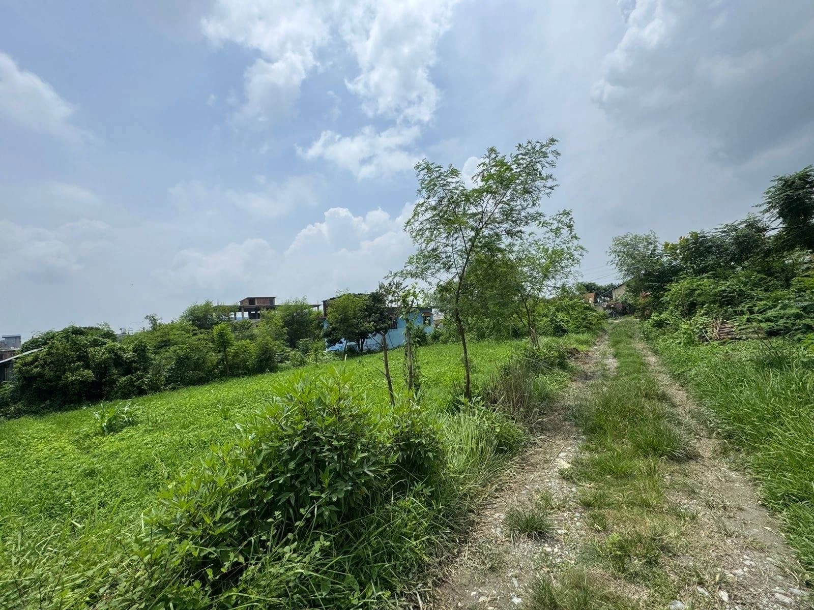 Land For Sale At Dulari 5 3