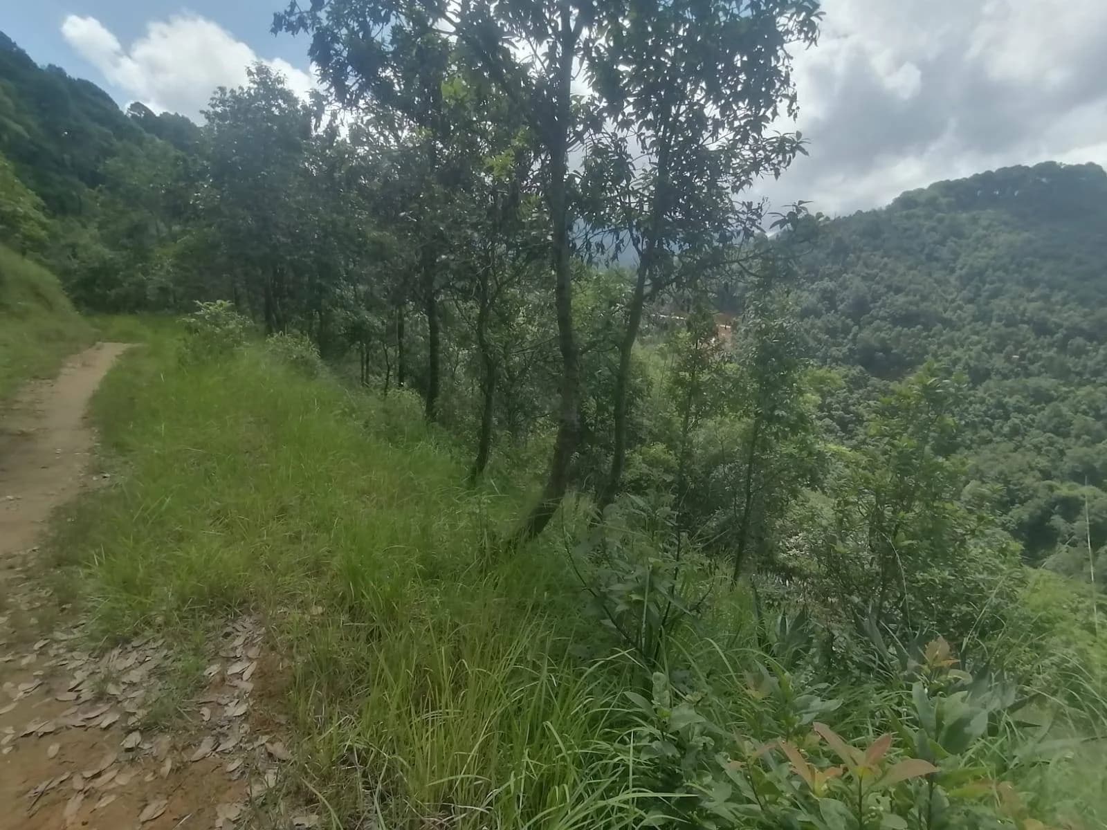 Land For Sale At Godamchaur | Godawari 3