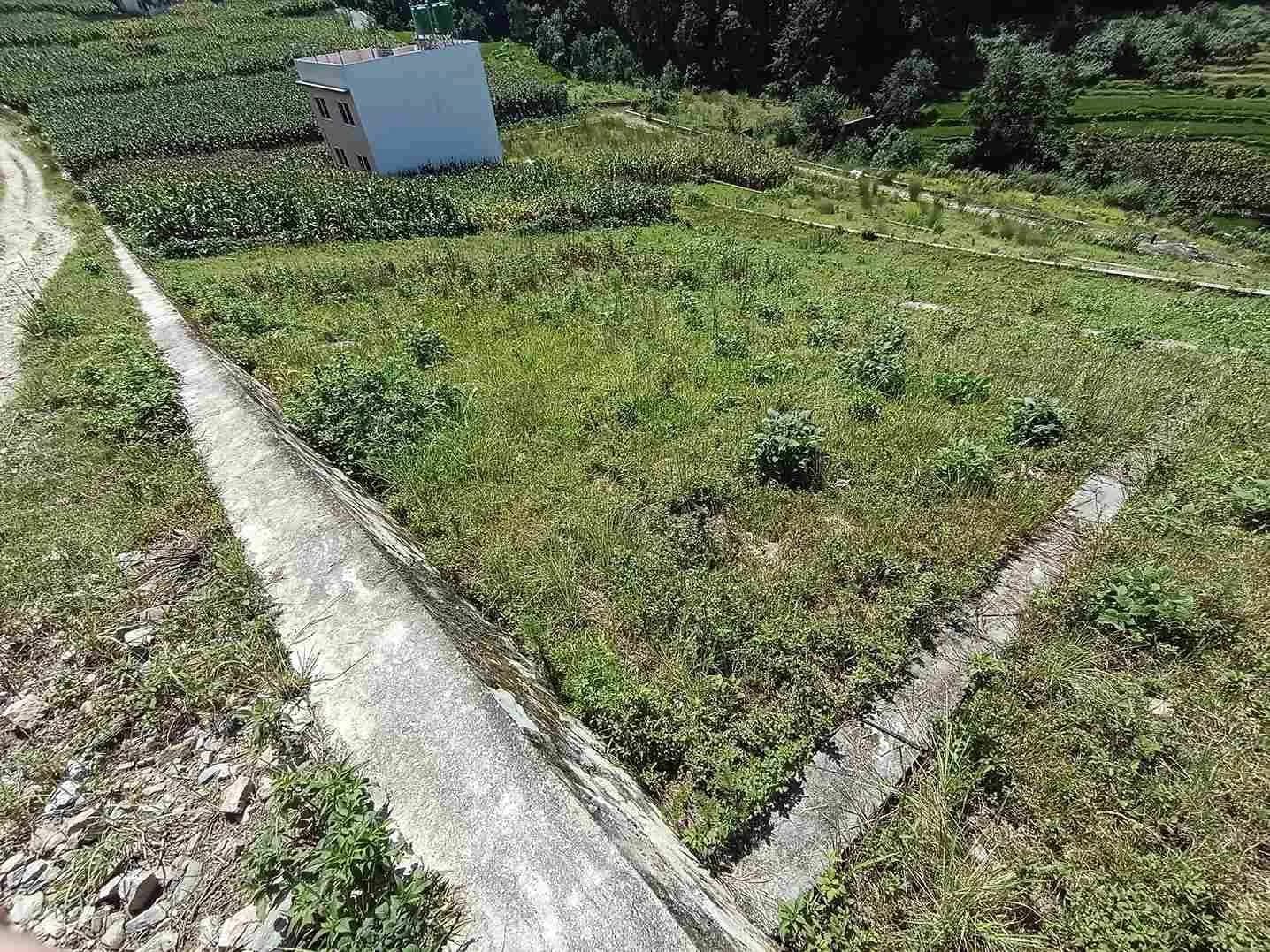 Land For Sale At Sudal 1