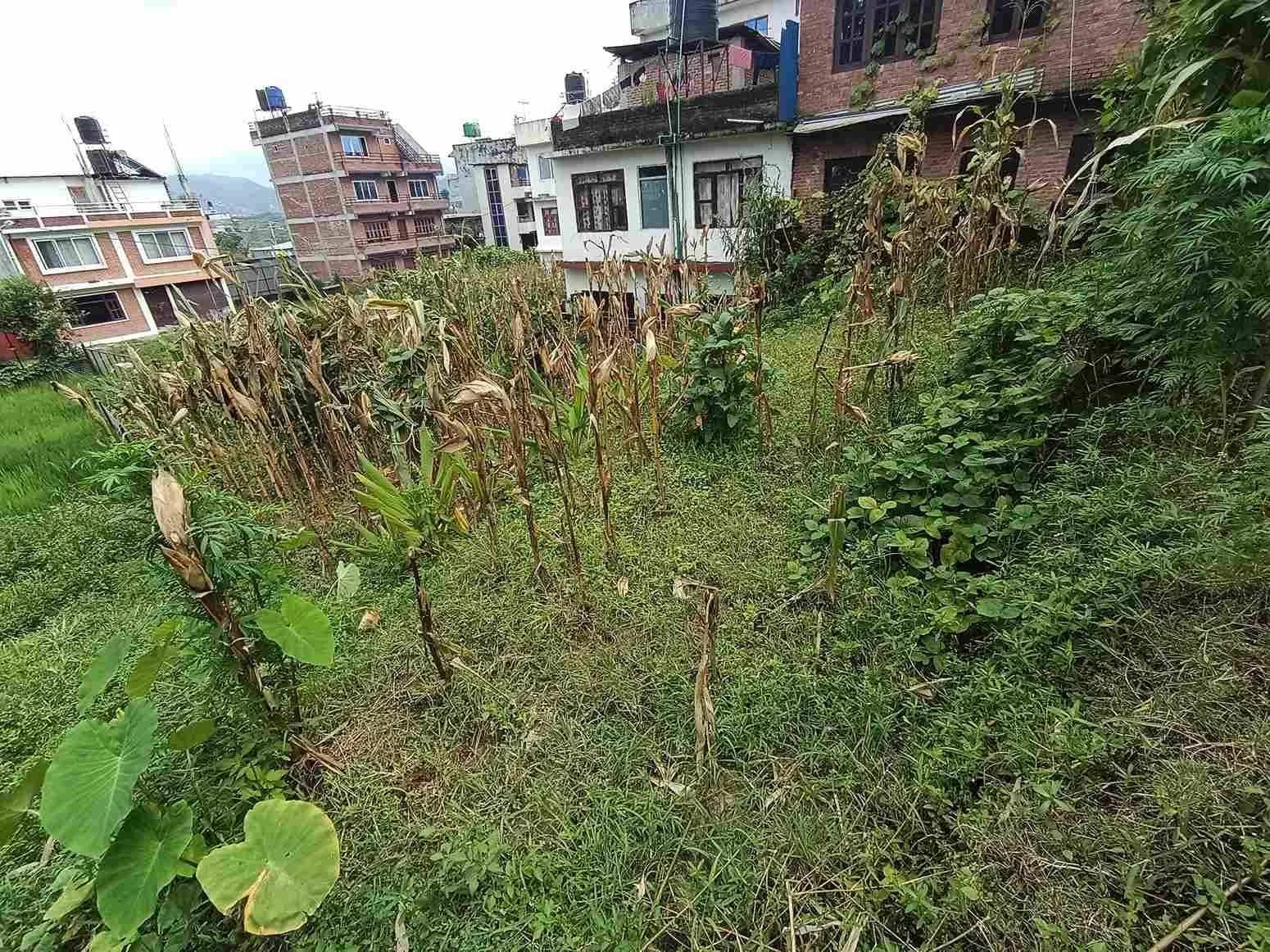 Land For Sale At Kamalbinayak 1