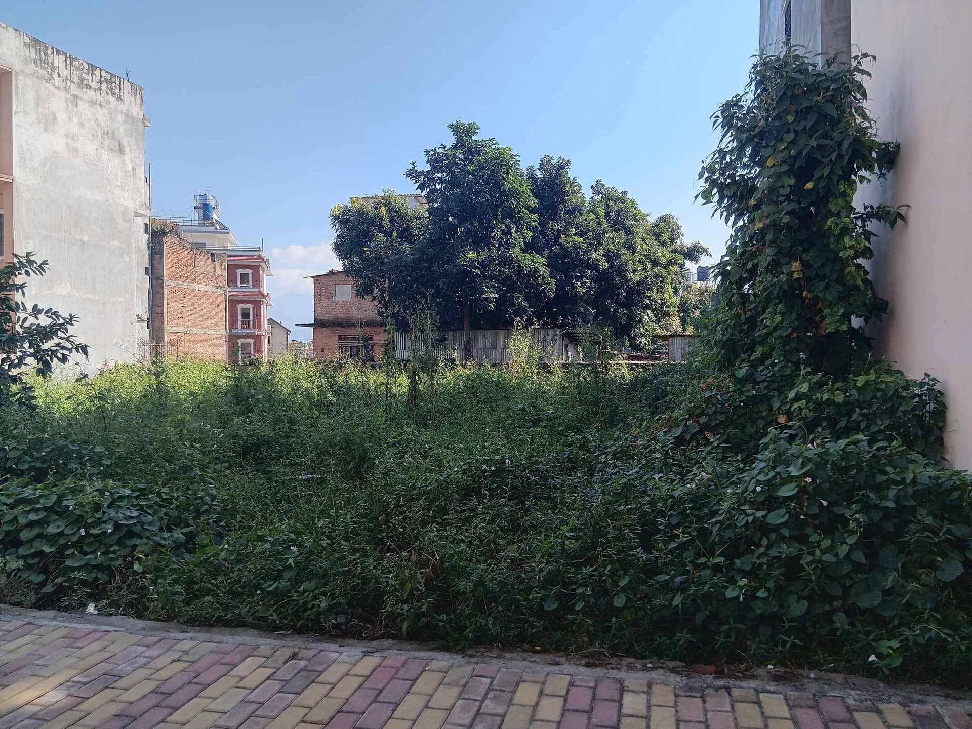 Land For Sale At Dallu 1