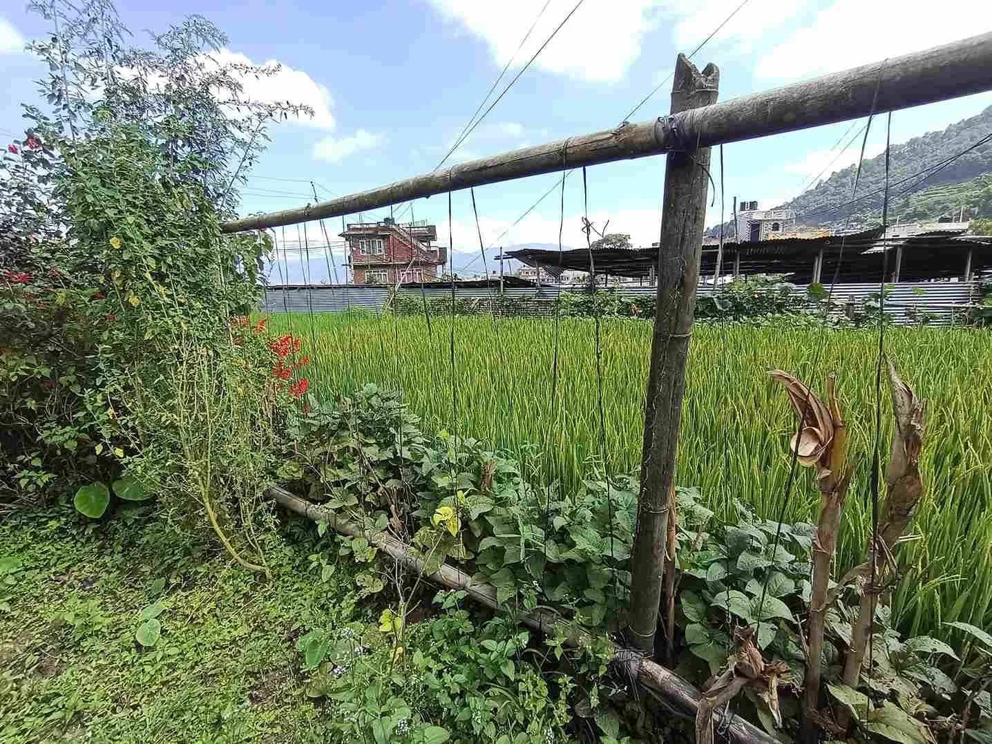 Land For Sale At Sipadol 2