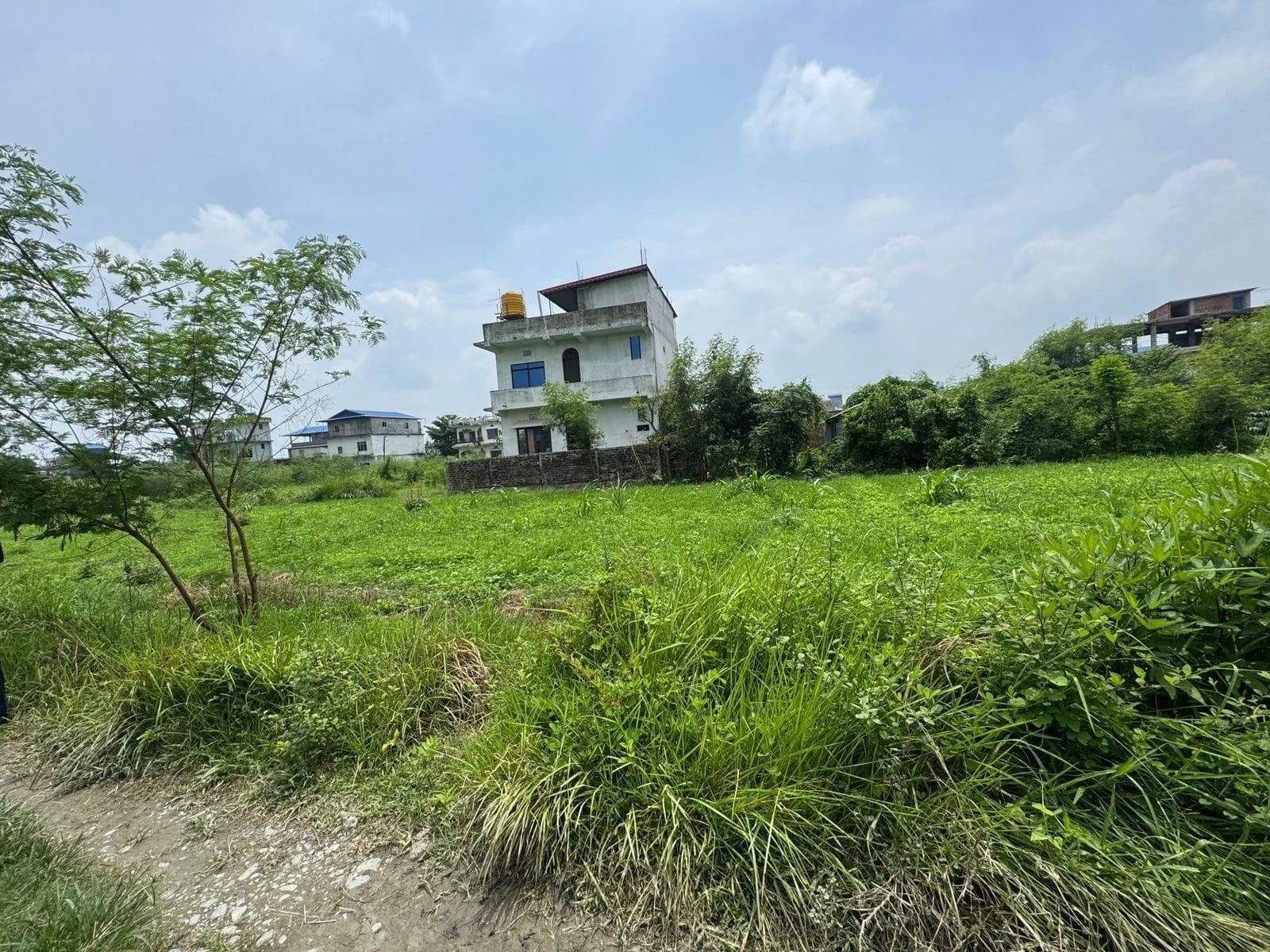 Land For Sale At Dulari 5 2