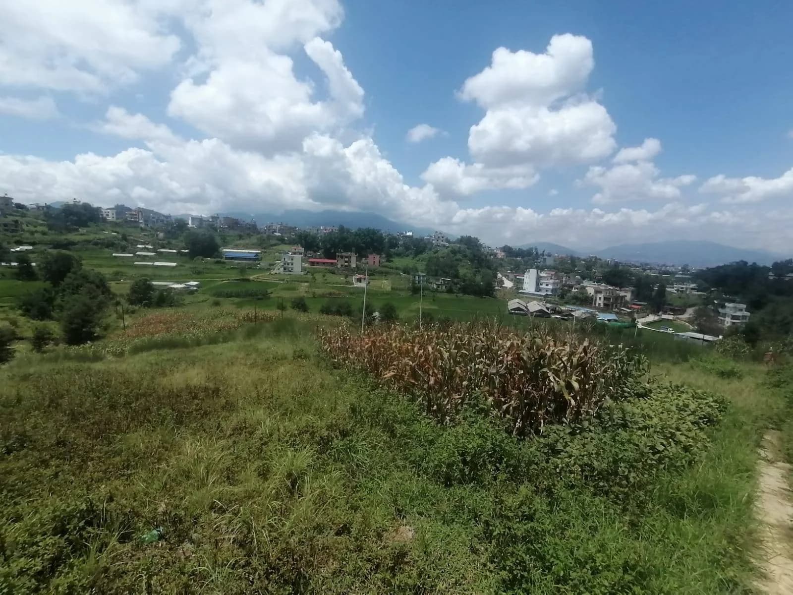 Land For Sale At Godamchaur | Godawari 5