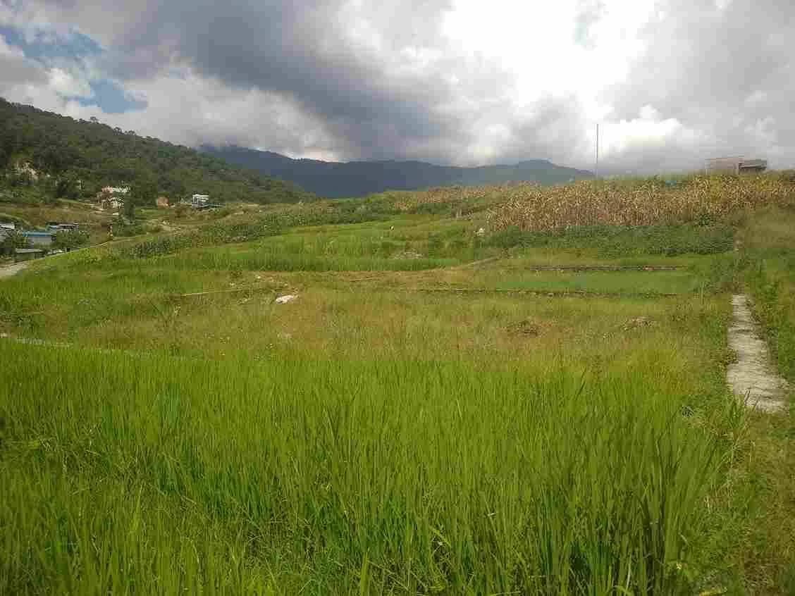 Land For Sale At Pasikot 5