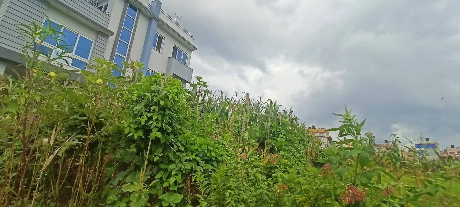 Land For Sale At Katunje 1