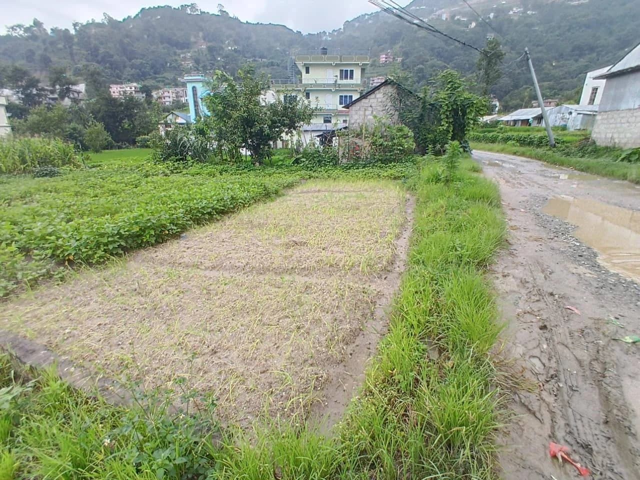 Land For Sale At Tarkeshwor | Sangla 4