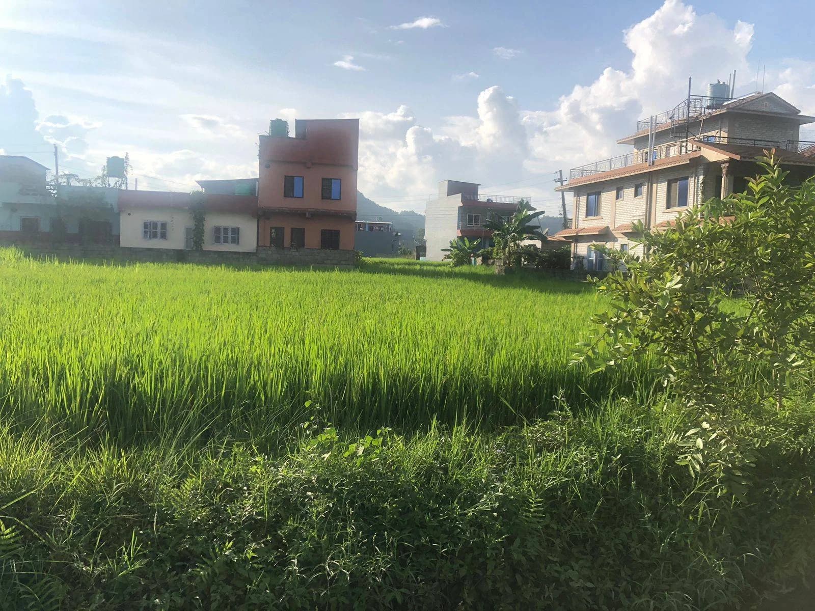 Land For Sale At Sisuwa 3