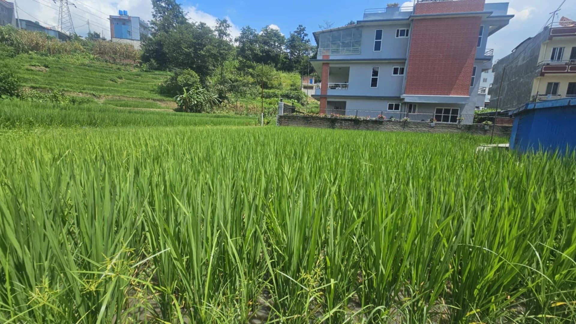 Land For Sale At Budhanilkantha 1
