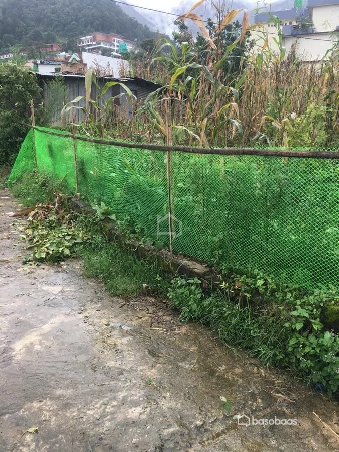 Land for Sale in Chandragiri, Kathmandu — For Sale in Chandragiri 3
