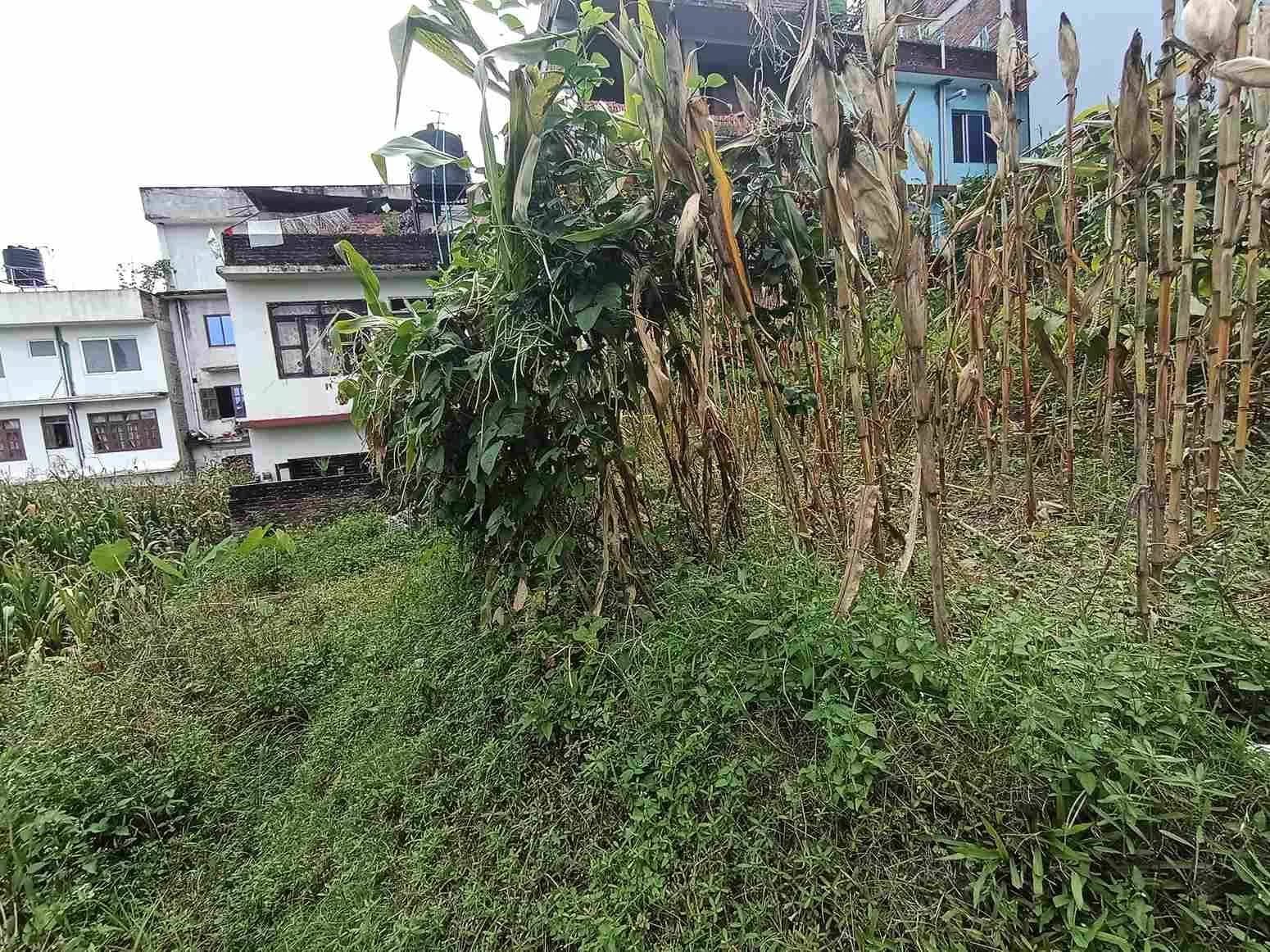 Land For Sale At Kamalbinayak 2