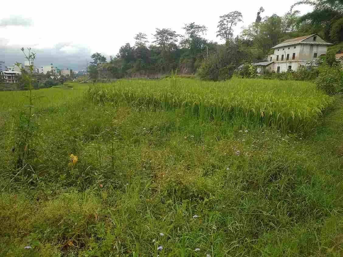 Land For Sale At Budhanilkantha 1