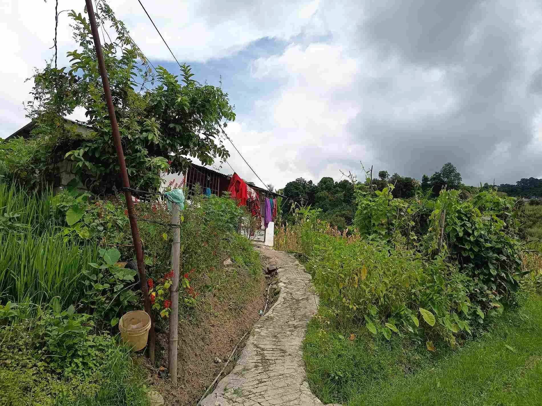 Land For Sale At Sudal 4