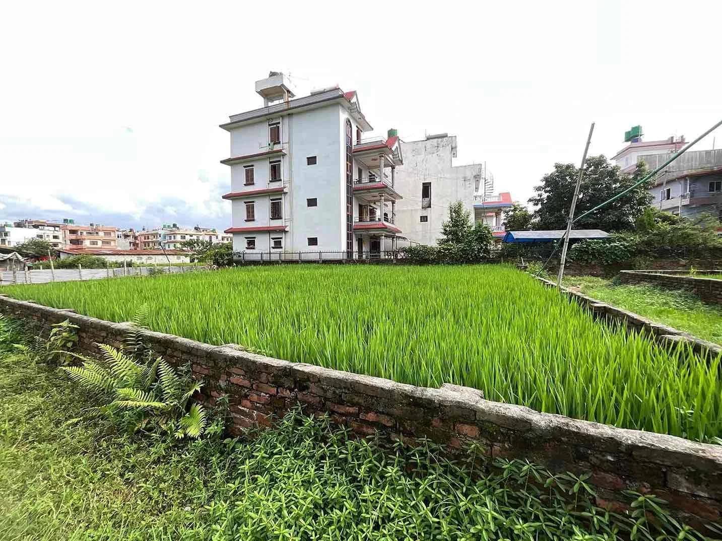 Land For Sale At Kadaghari 2