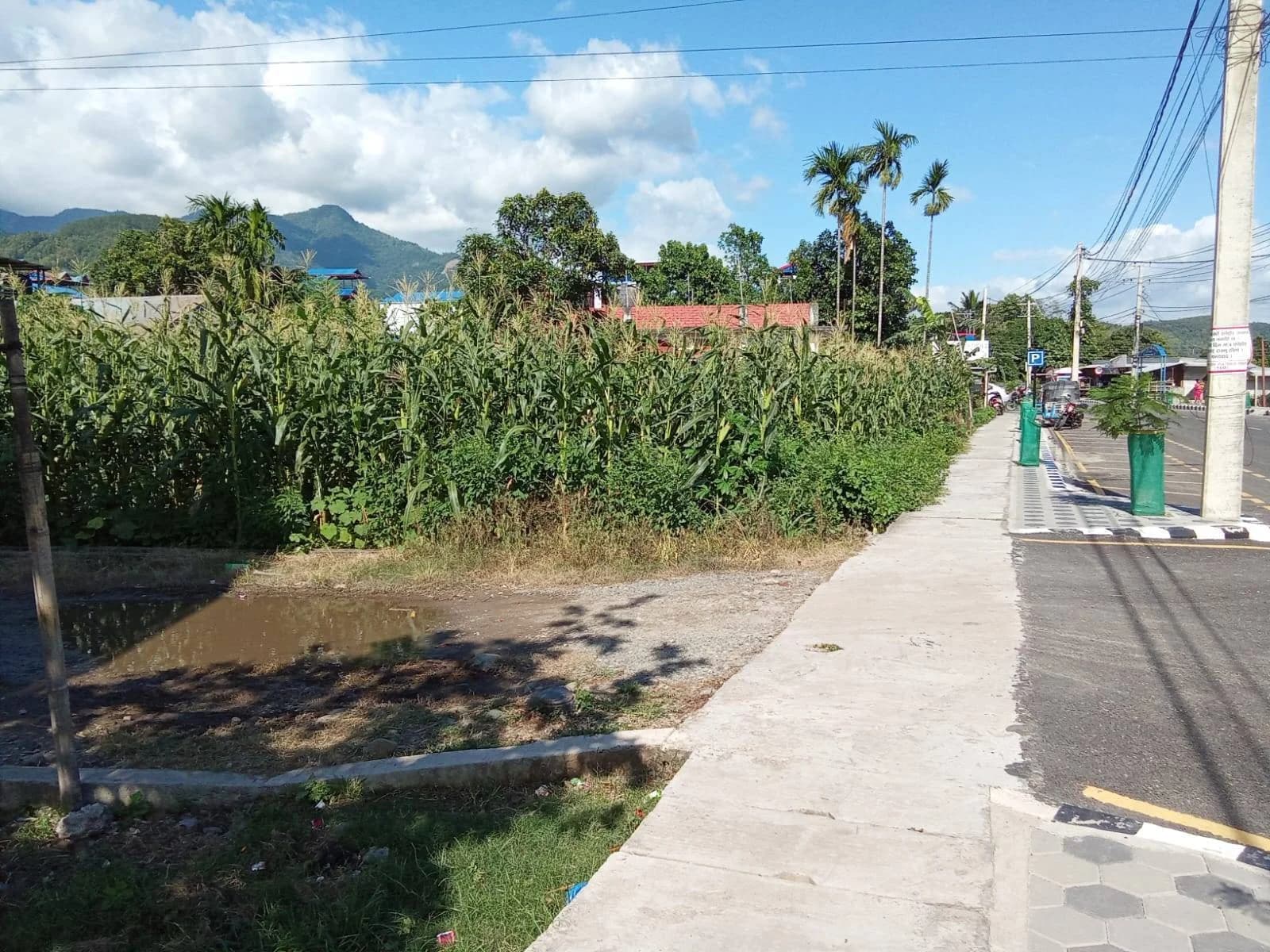 Land For Sale At Dharan 15 | Mahadev Chowk 5