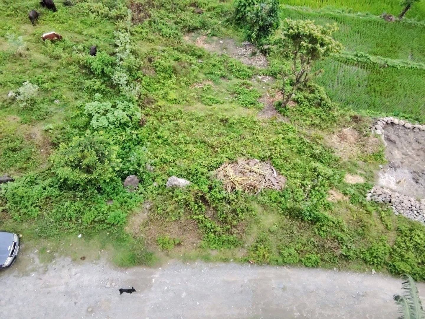 Land For Sale At Kerabari | Morang 5