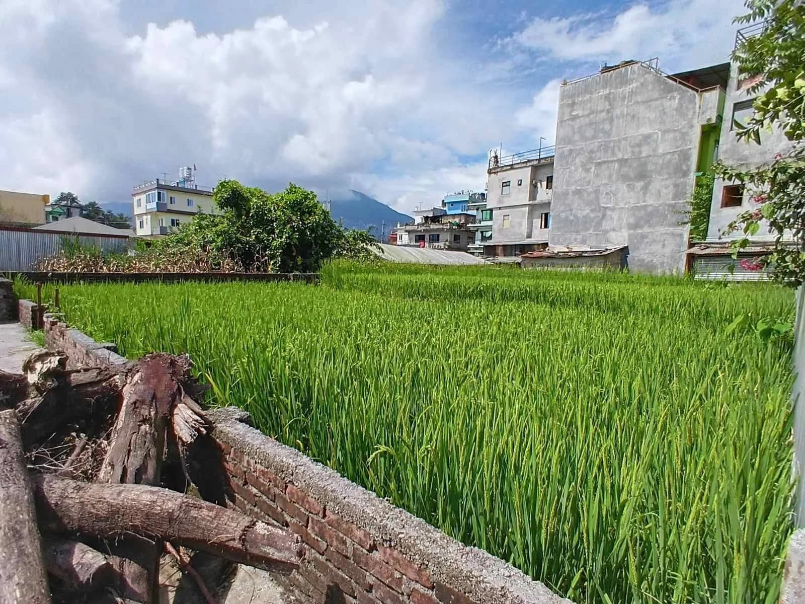 Land For Sale At Tokha 3