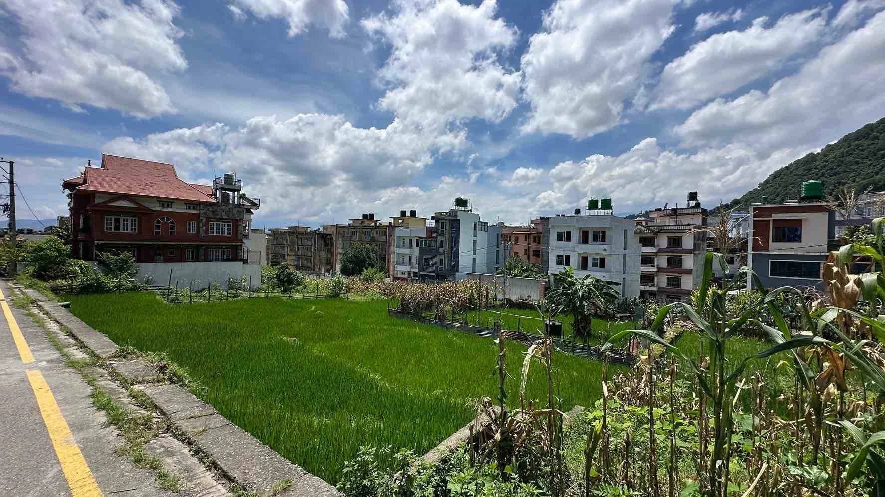 Land For Sale At Raniban 3