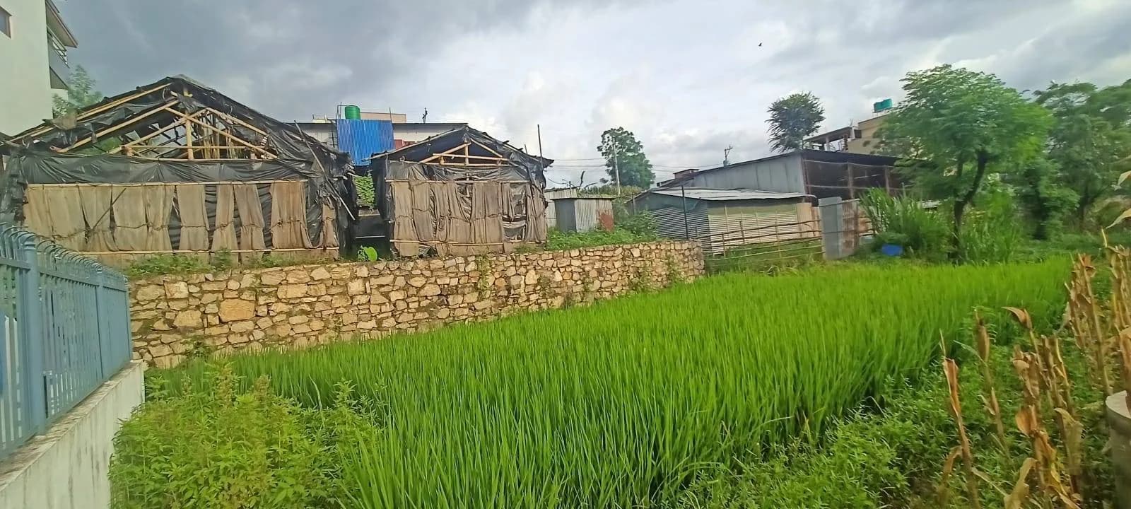 Land For Sale At Balkot 2