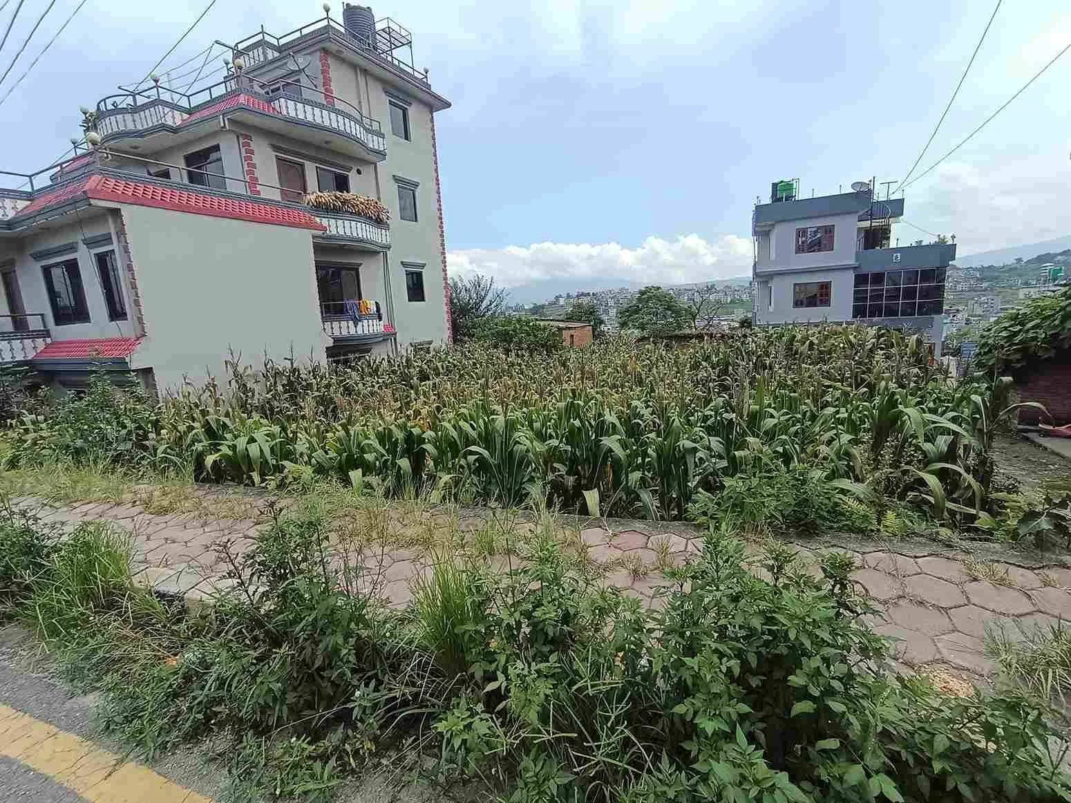 Land For Sale At Dadhikot 1