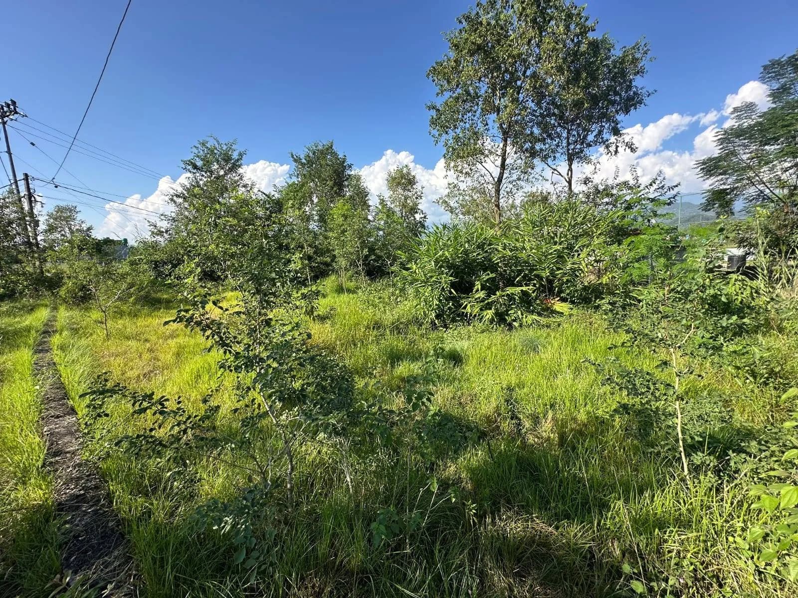 Land For Sale At Pokhara 2