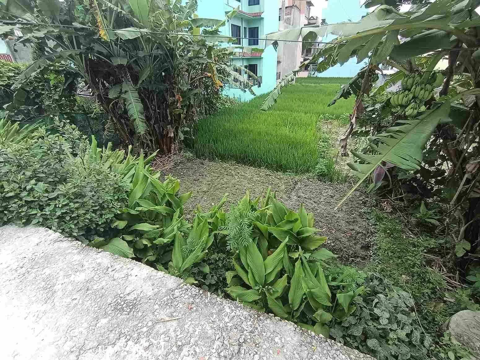 Land For Sale At Duwakot 2