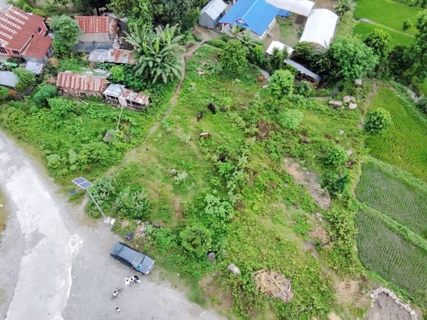 Land For Sale At Kerabari | Morang 1