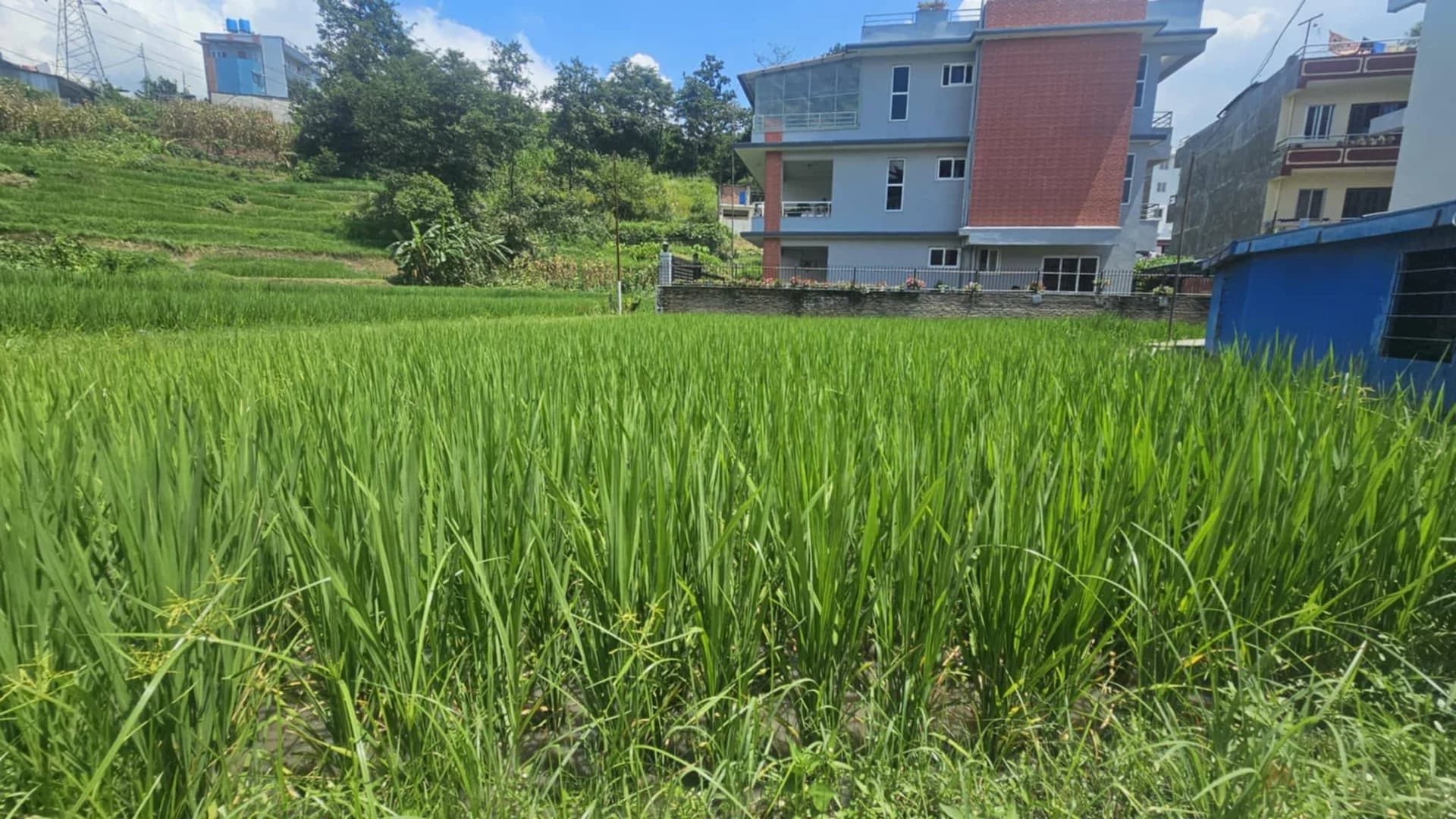 Land For Sale At Budhanilkantha 4