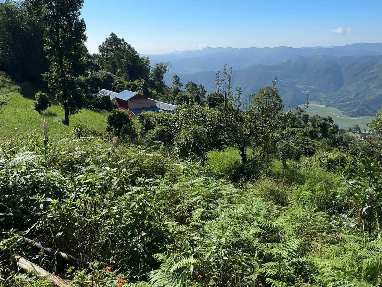 Land For Sale At Pokhara 5