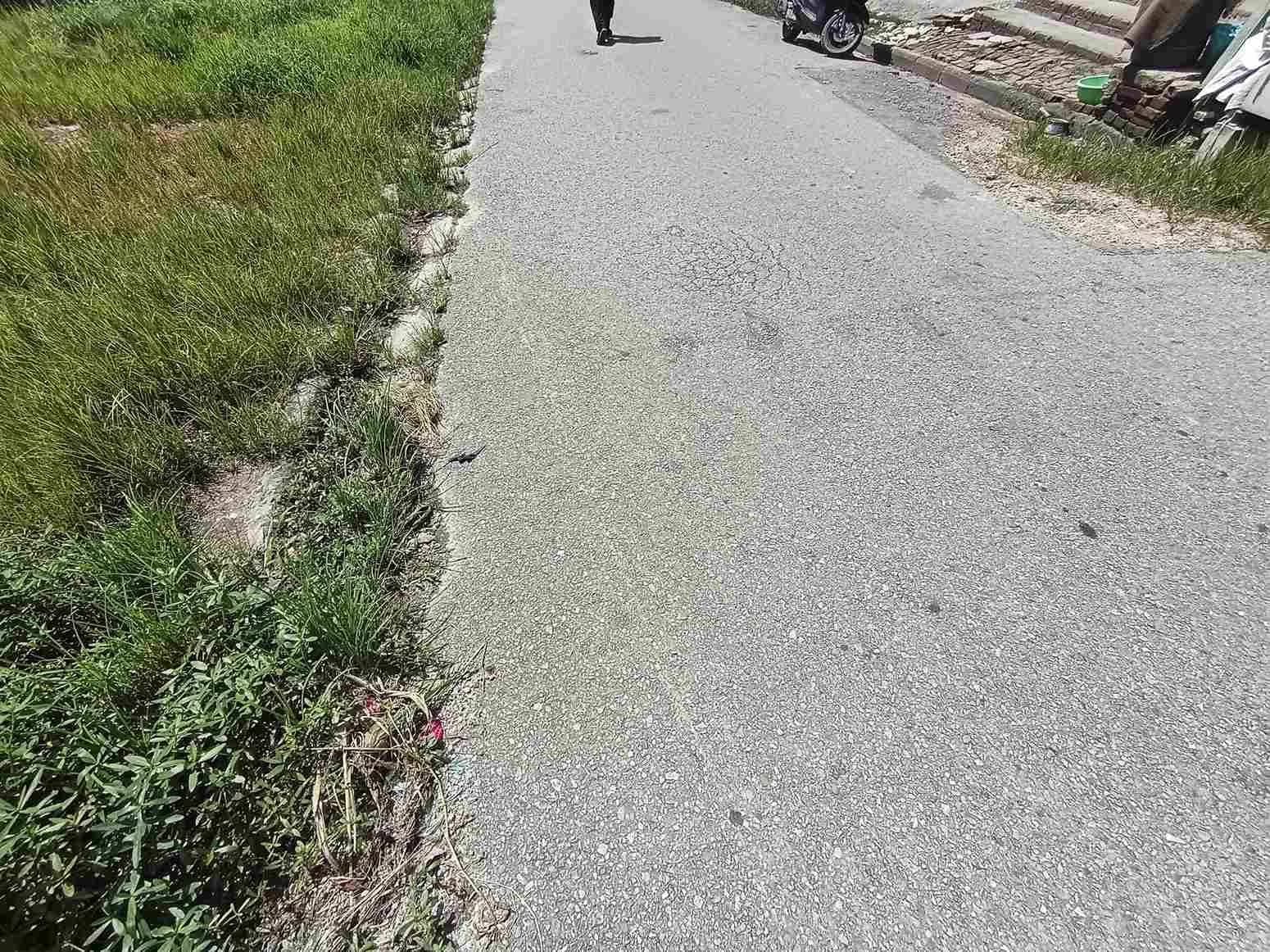 Land For Sale At Kamalbinayak 5