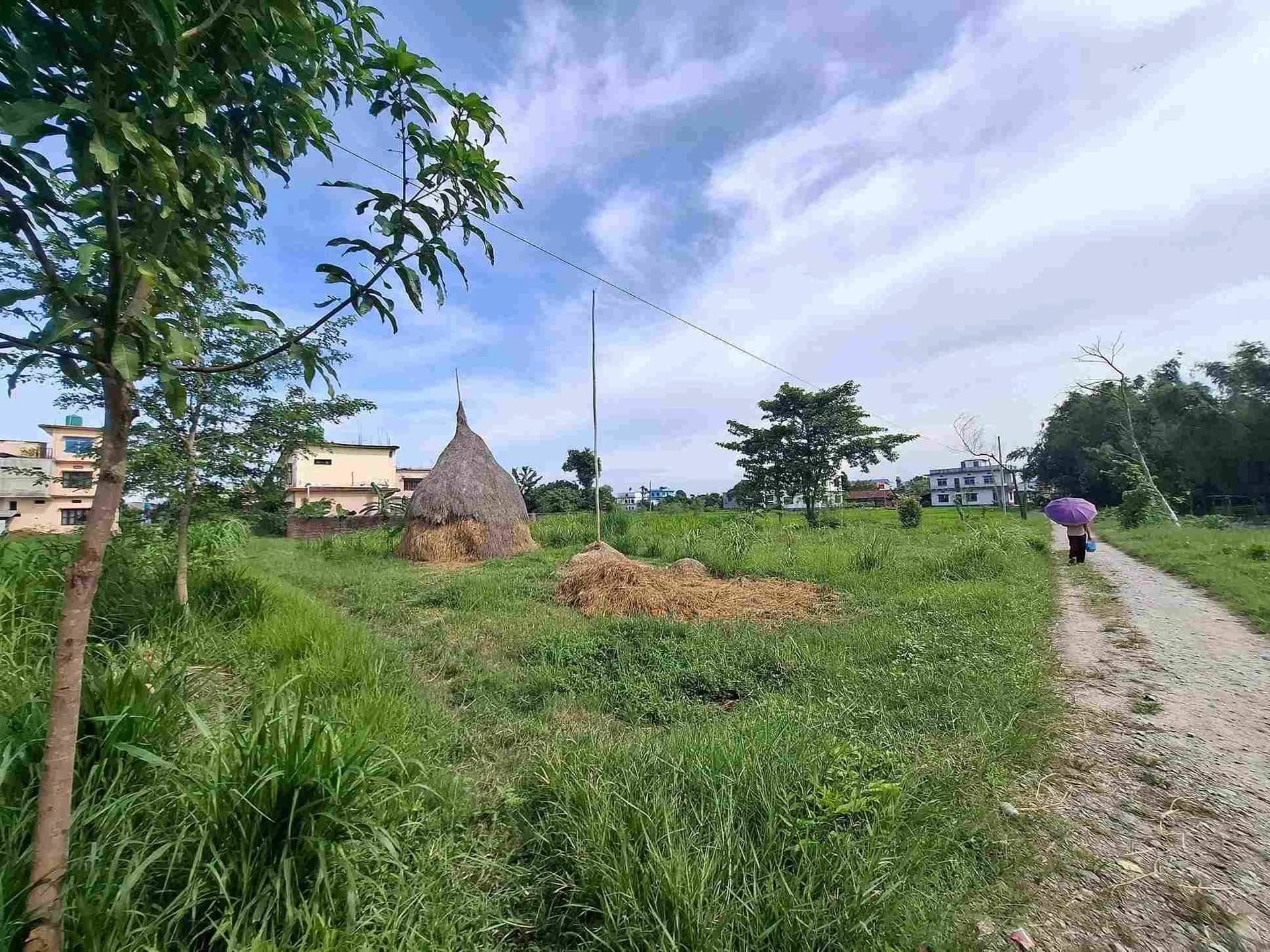Land For Sale At Belbari 3