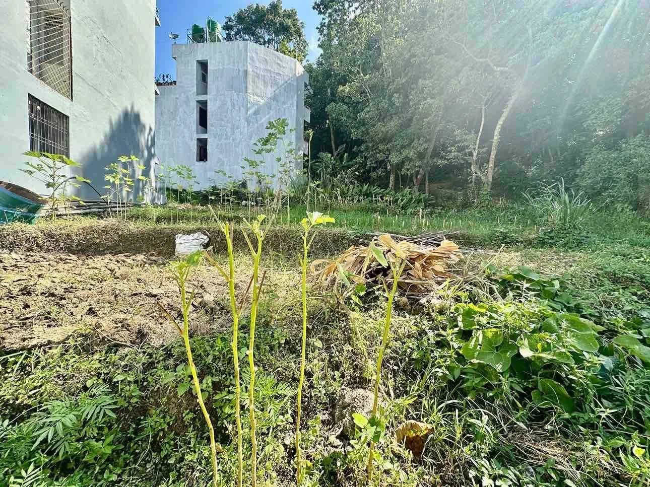 Land For Sale At Thankot 3