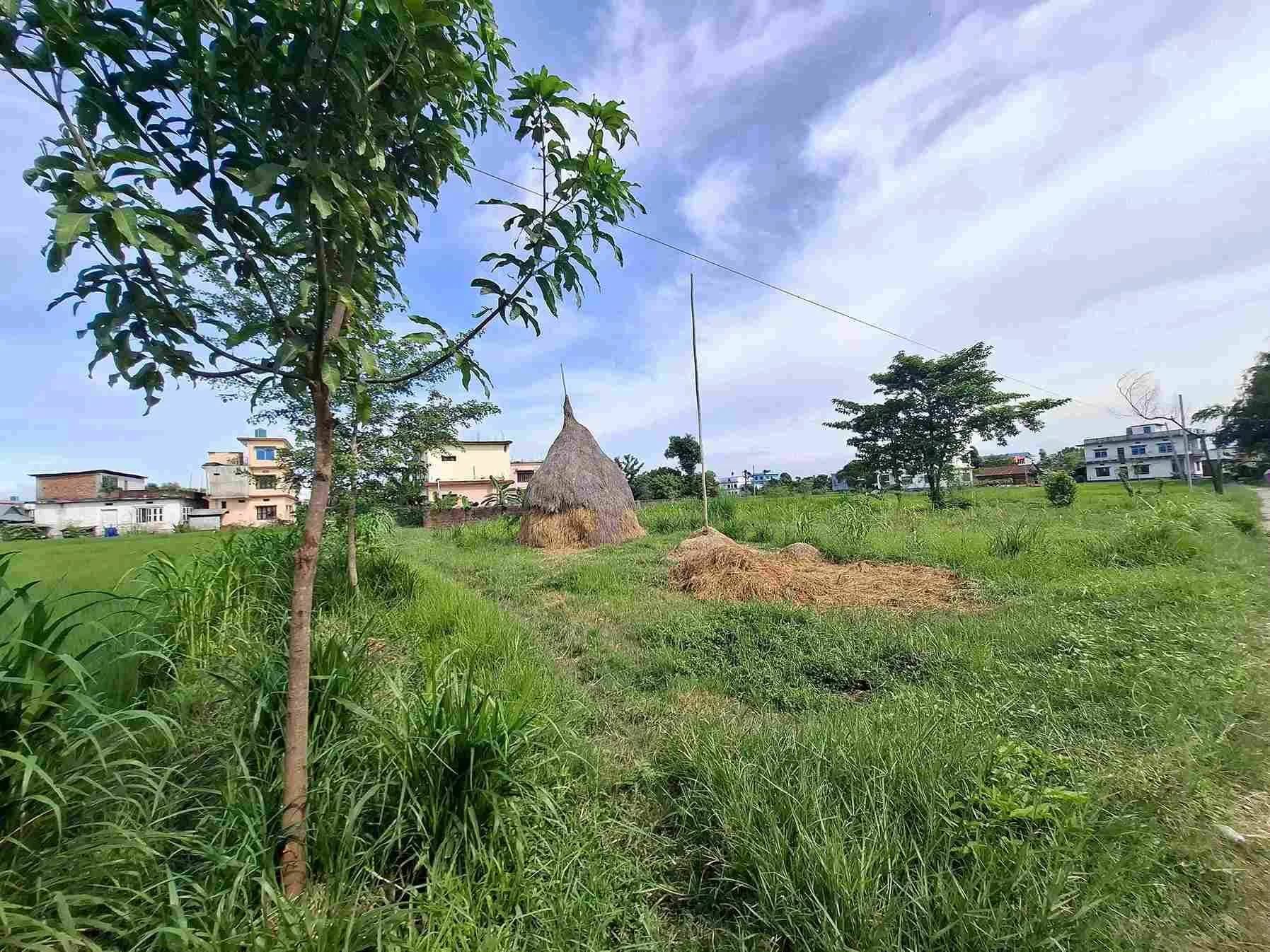 Land For Sale At Belbari 4