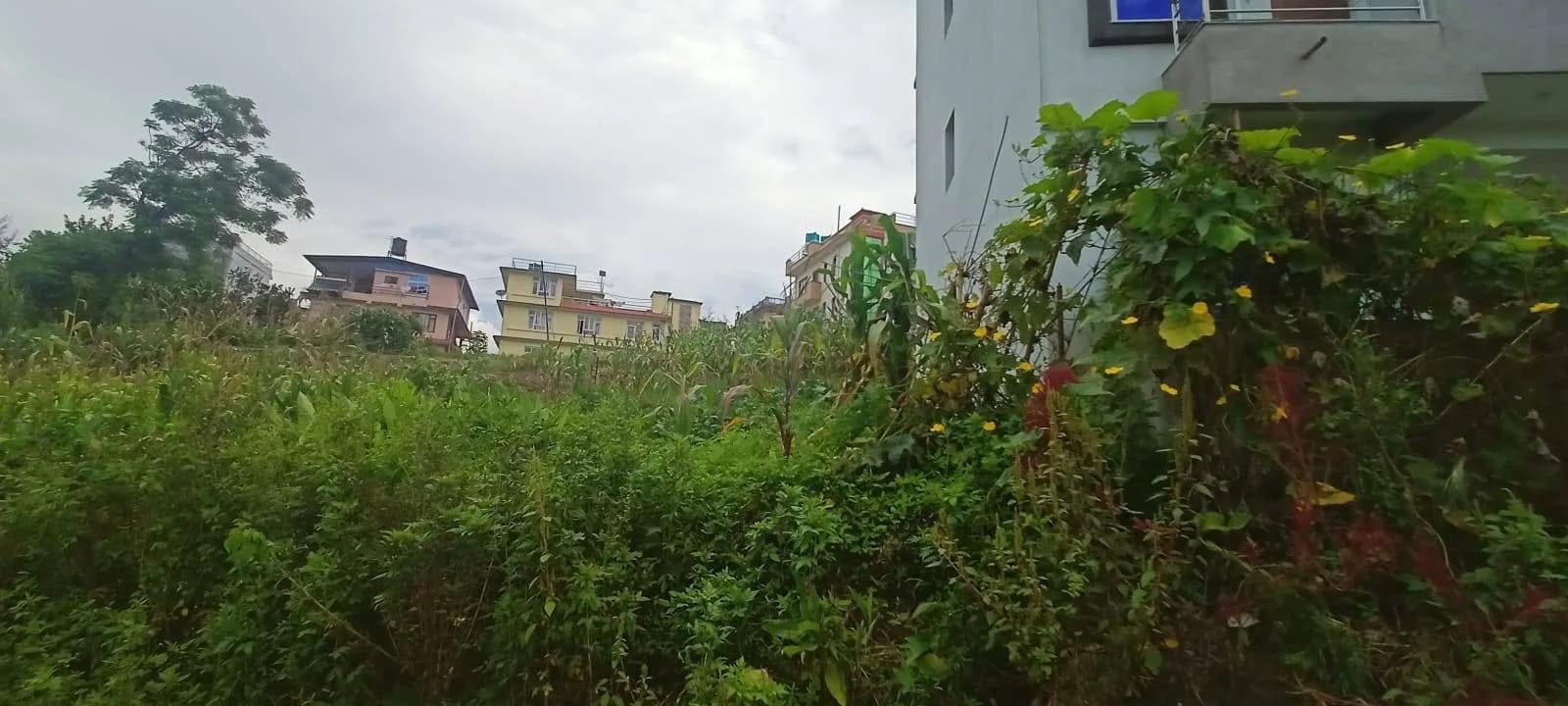 Land For Sale At Sirutar 2