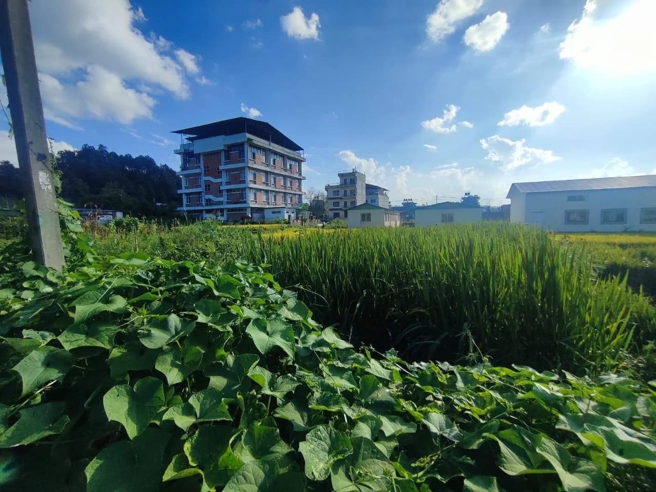 Land For Sale At Duwakot 1