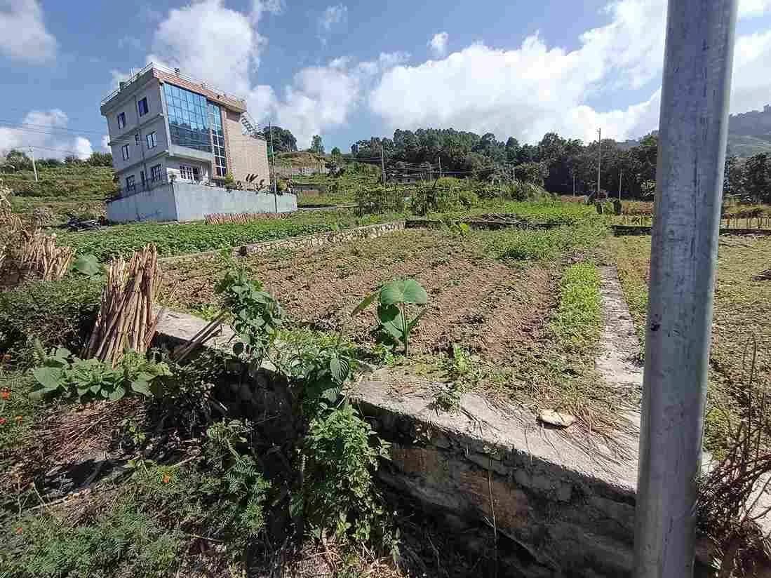 Land For Sale At Sudal 1