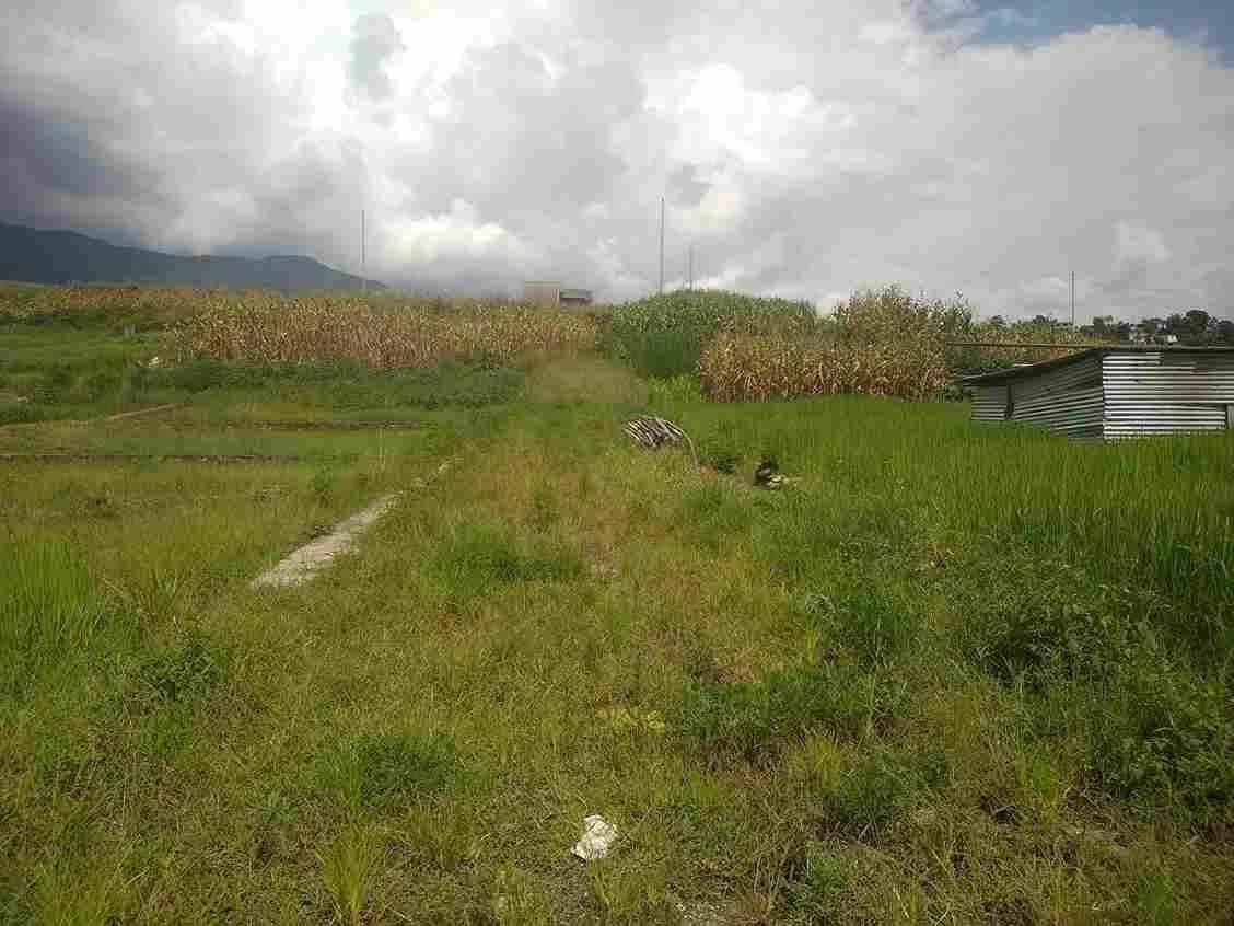 Land For Sale At Pasikot 3