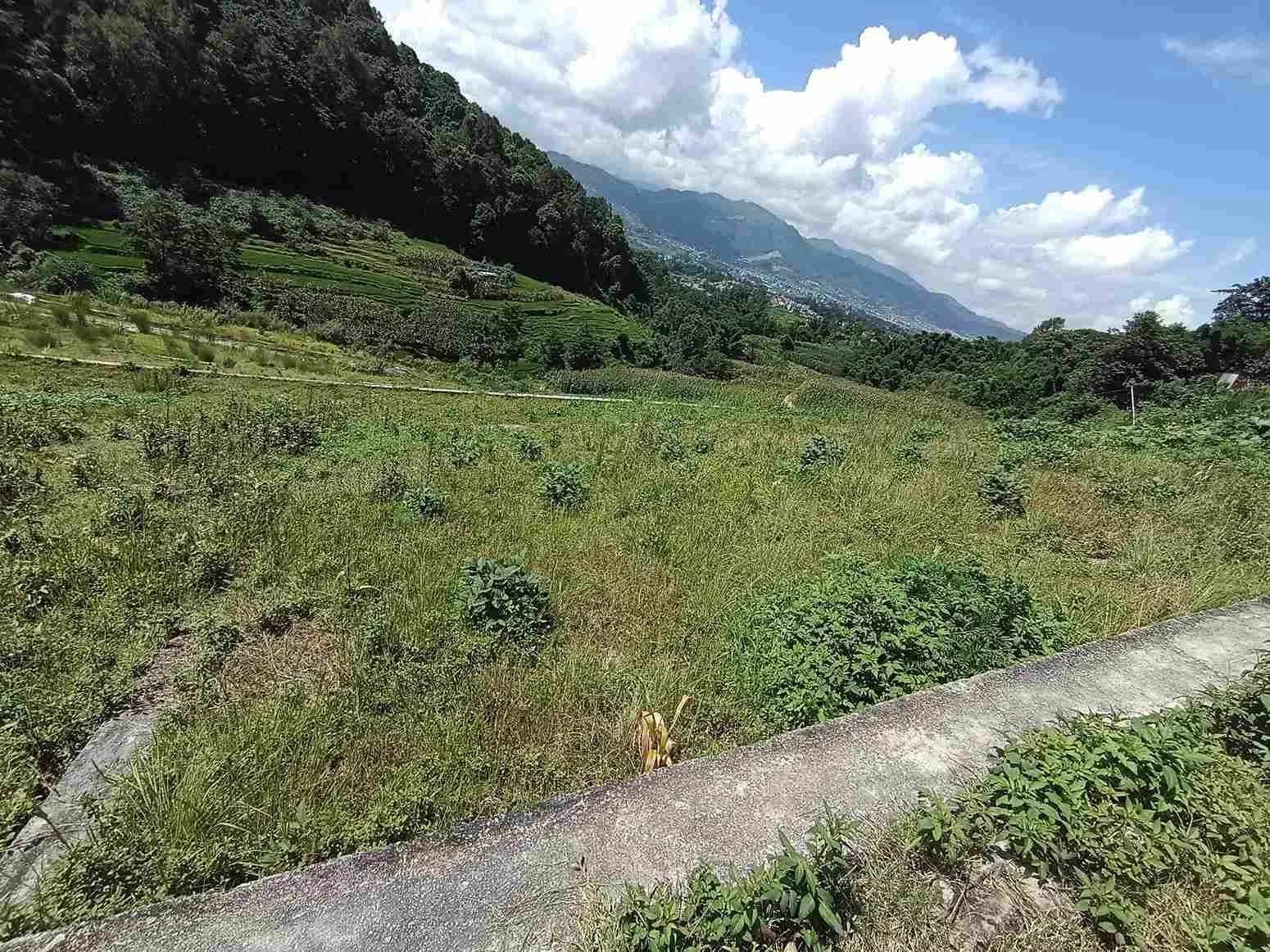 Land For Sale At Sudal 4