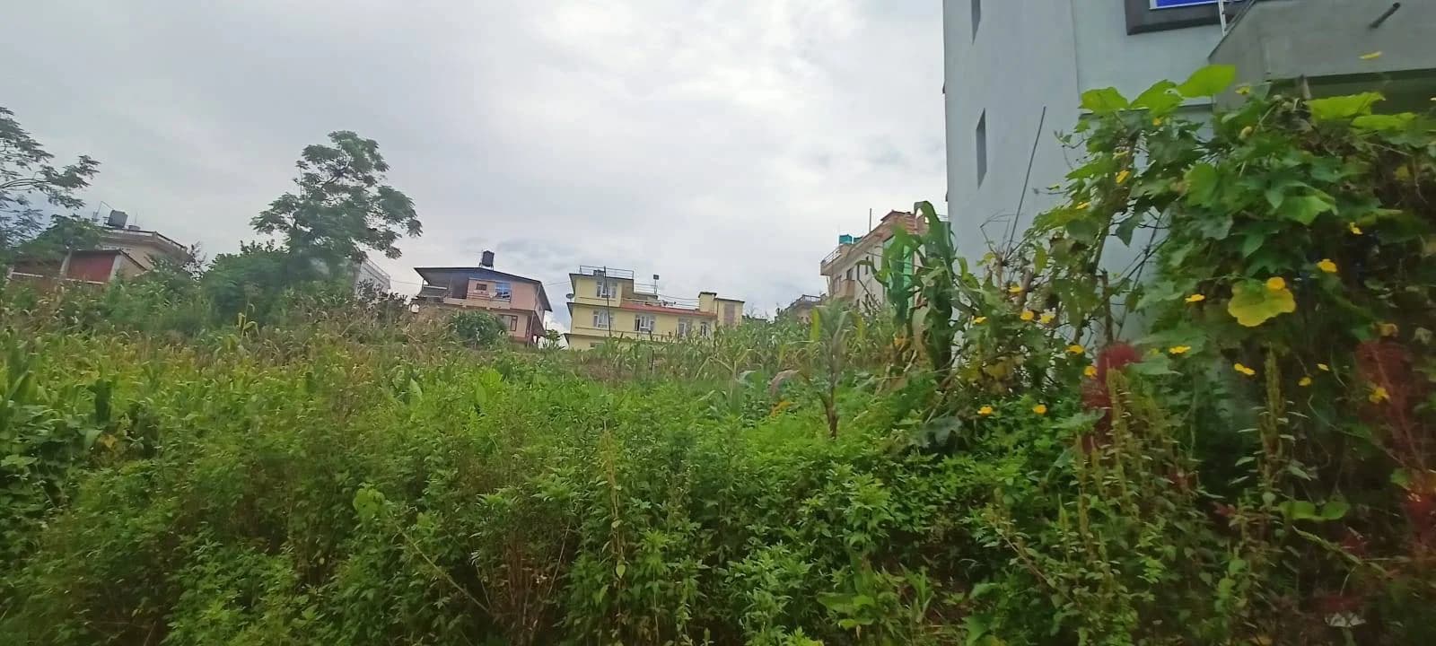 Land For Sale At Sirutar 3