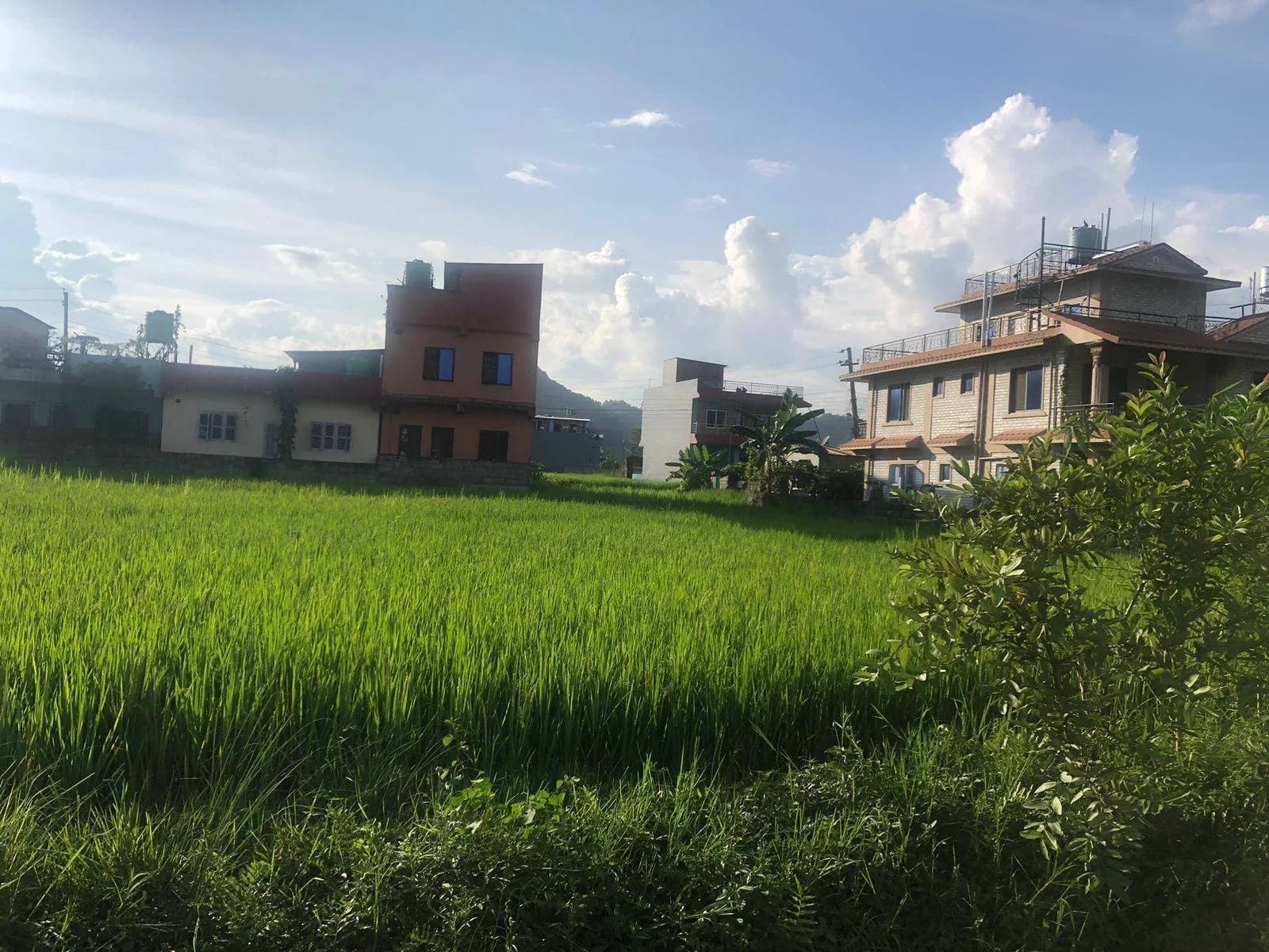Land For Sale At Sisuwa 2