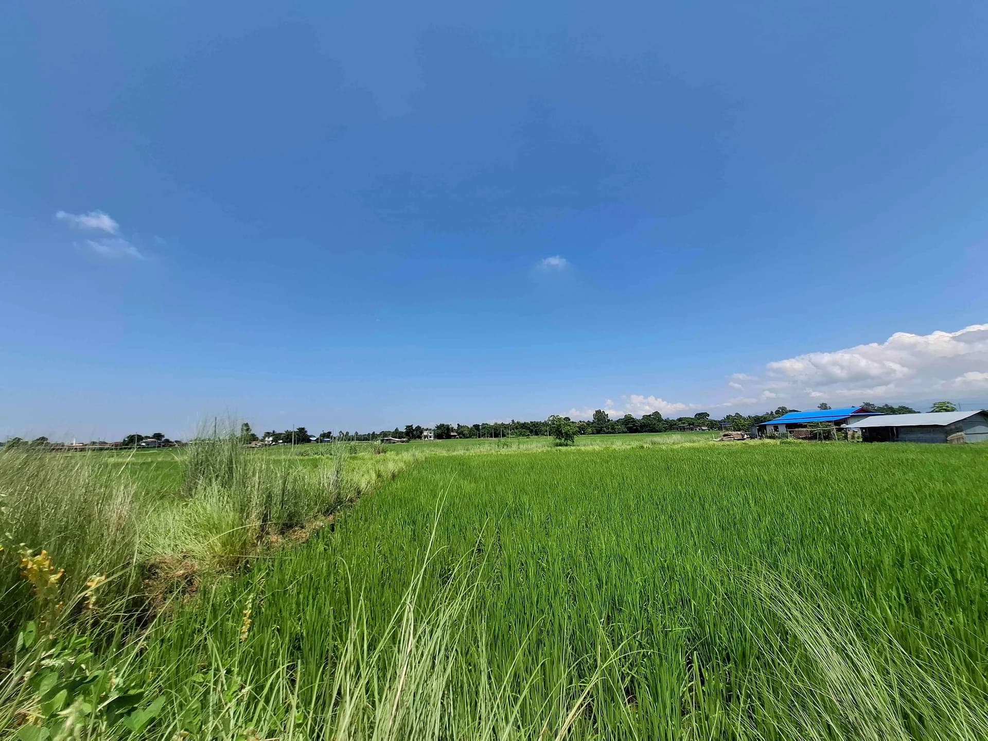 Land For Sale At Pateruwa 1